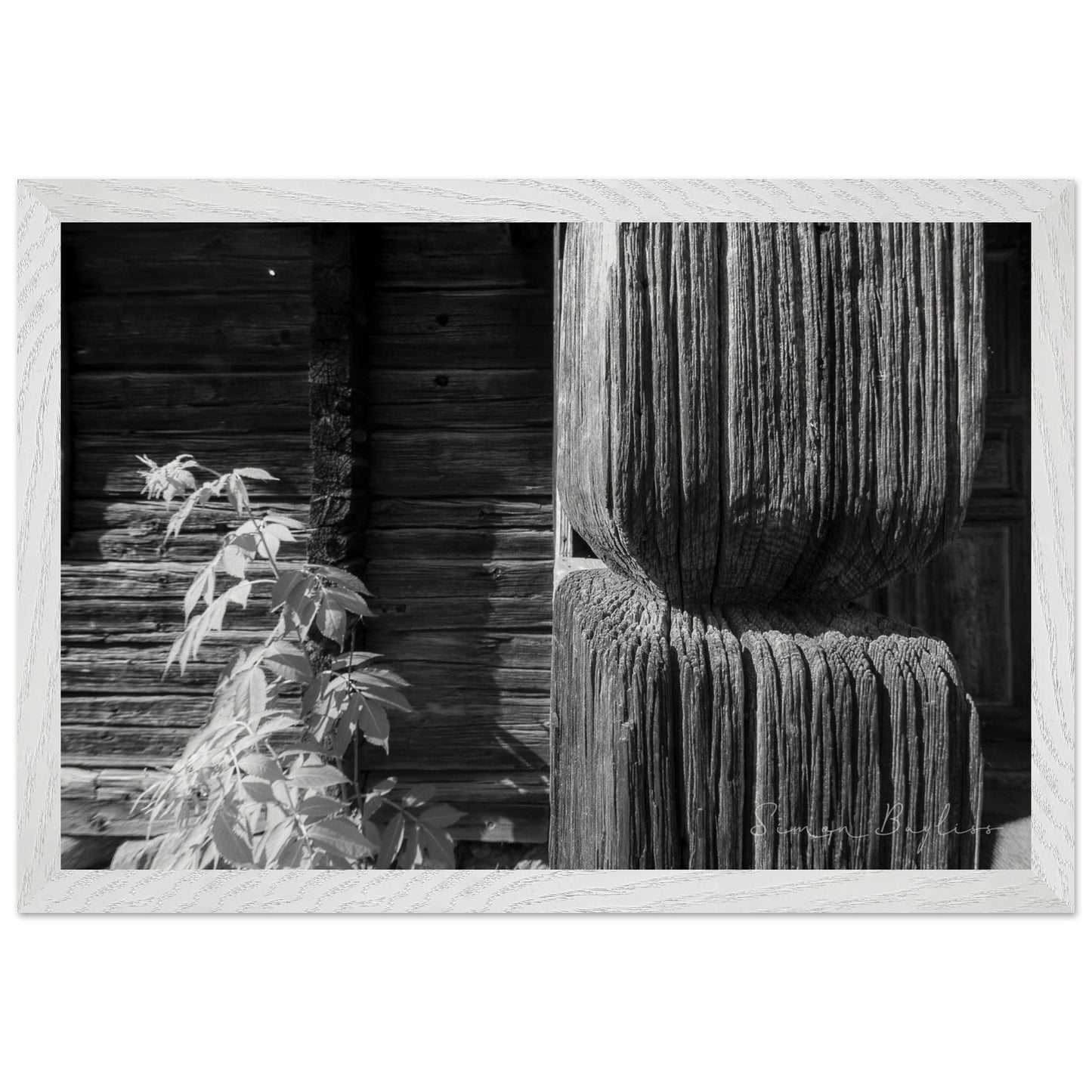 983a005a-2f4b-4b83-8409-625cebcb27a8