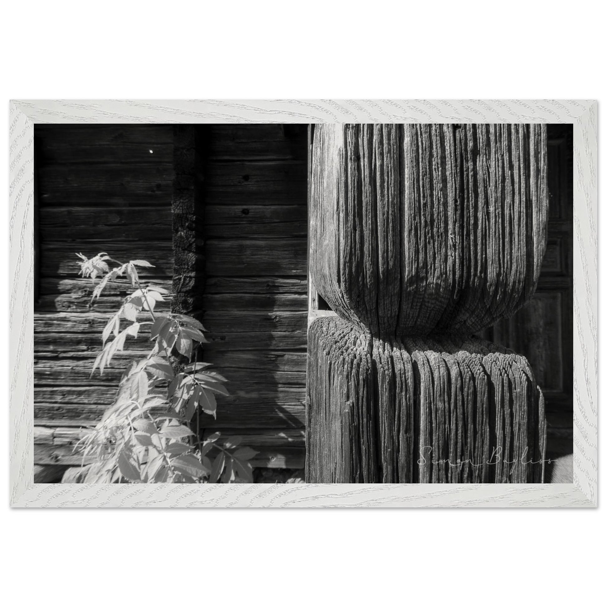 983a005a-2f4b-4b83-8409-625cebcb27a8