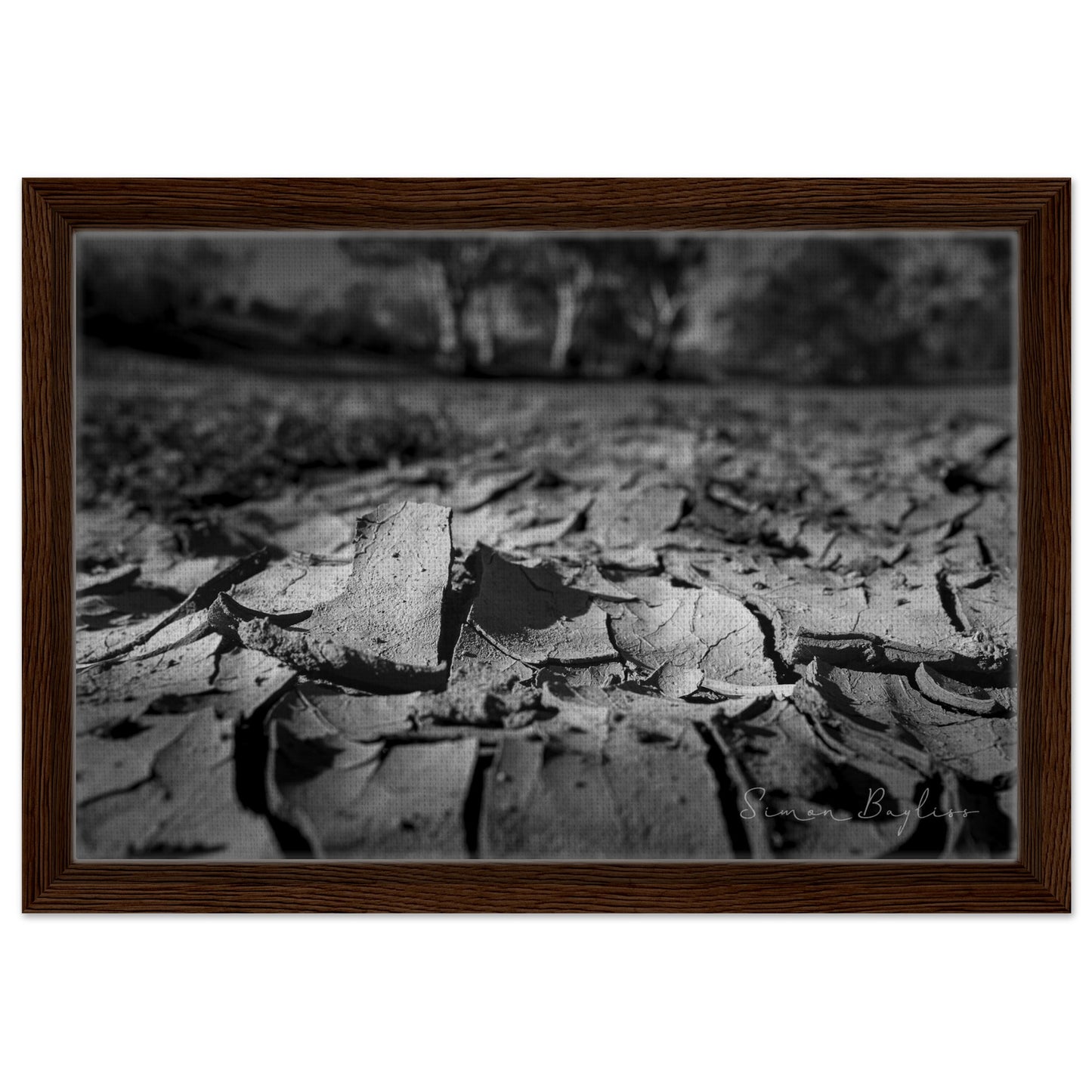 98a55086-f585-4456-b3a8-43cb9b083edf