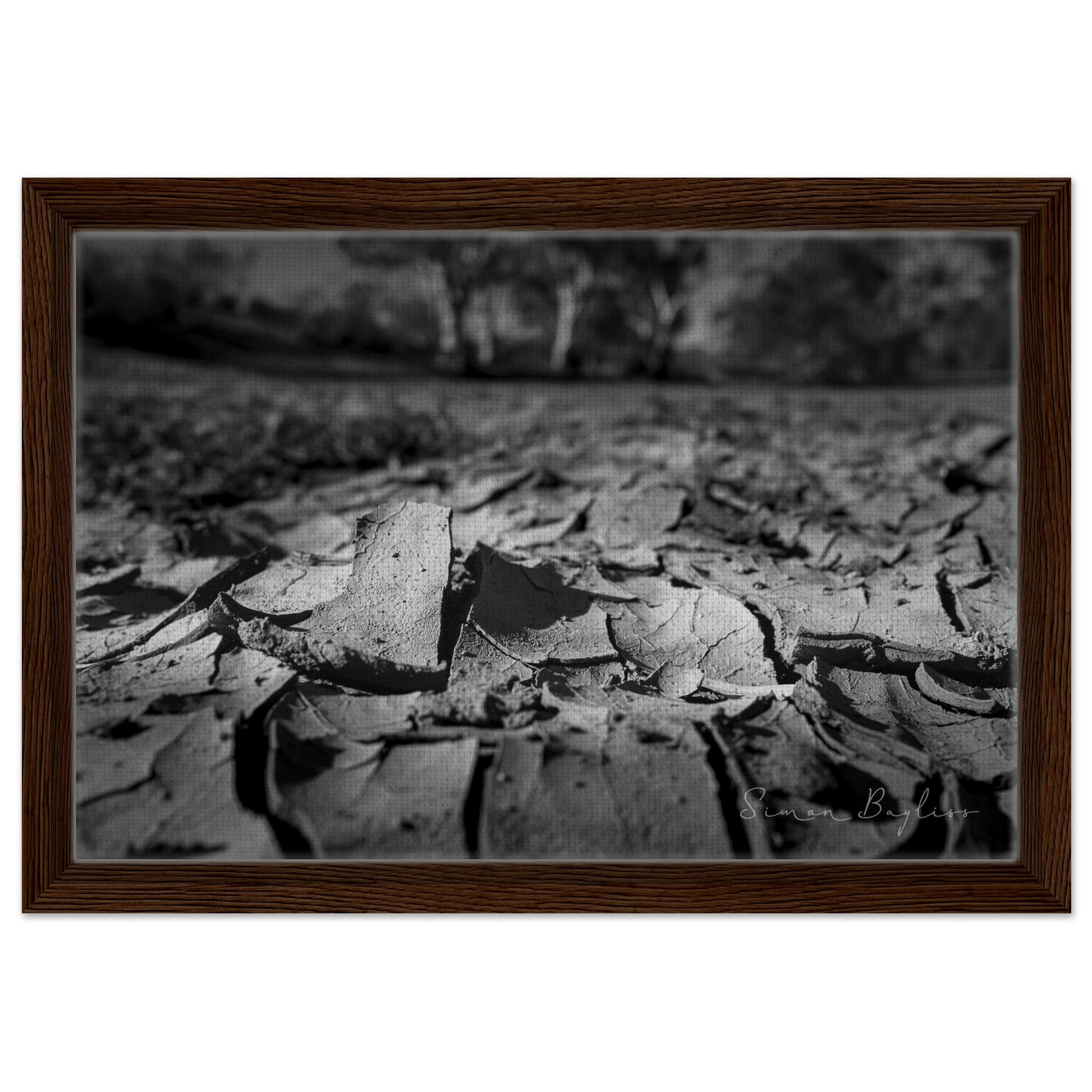 98a55086-f585-4456-b3a8-43cb9b083edf