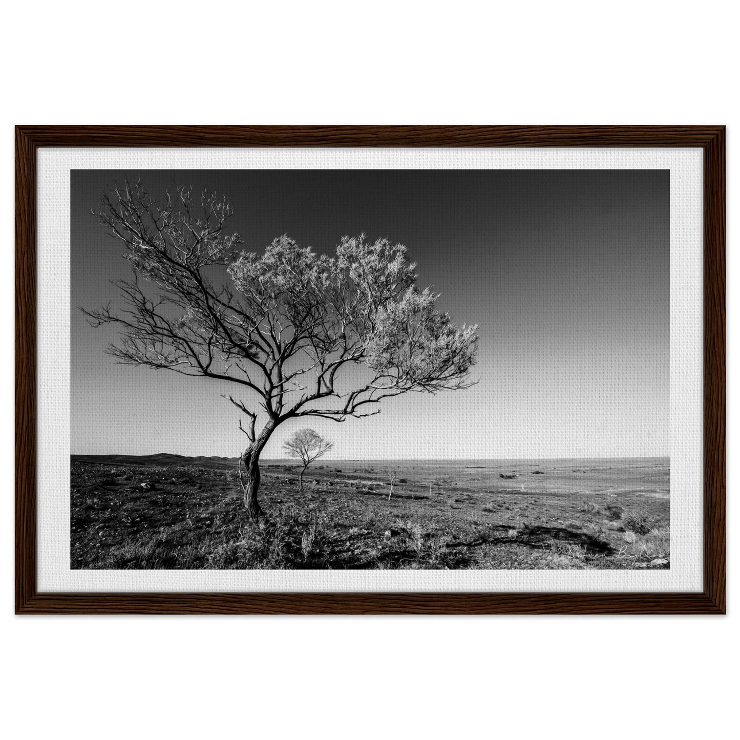 98b0cb5b-da8d-4f52-9a8b-e3137ede16e2