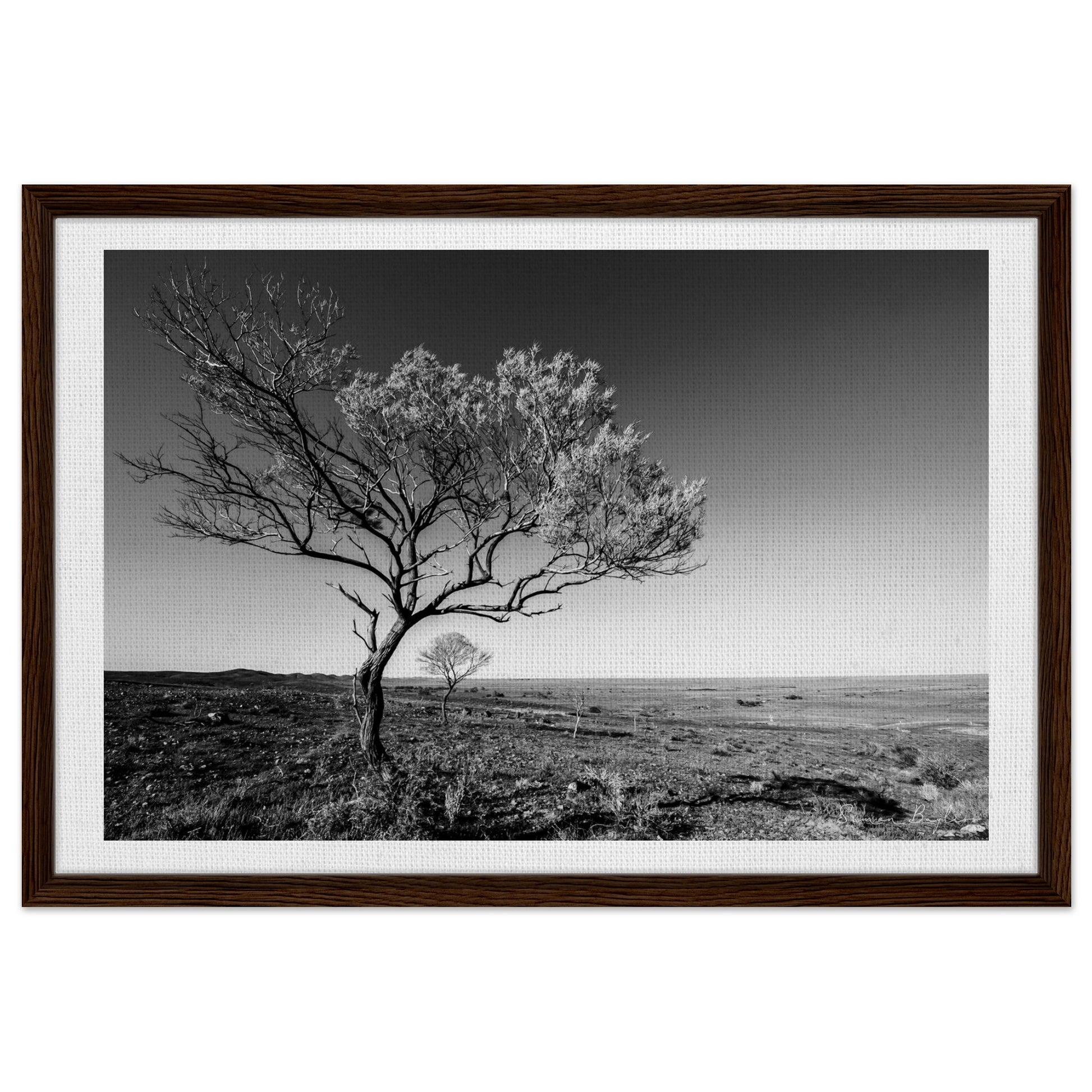 98b0cb5b-da8d-4f52-9a8b-e3137ede16e2