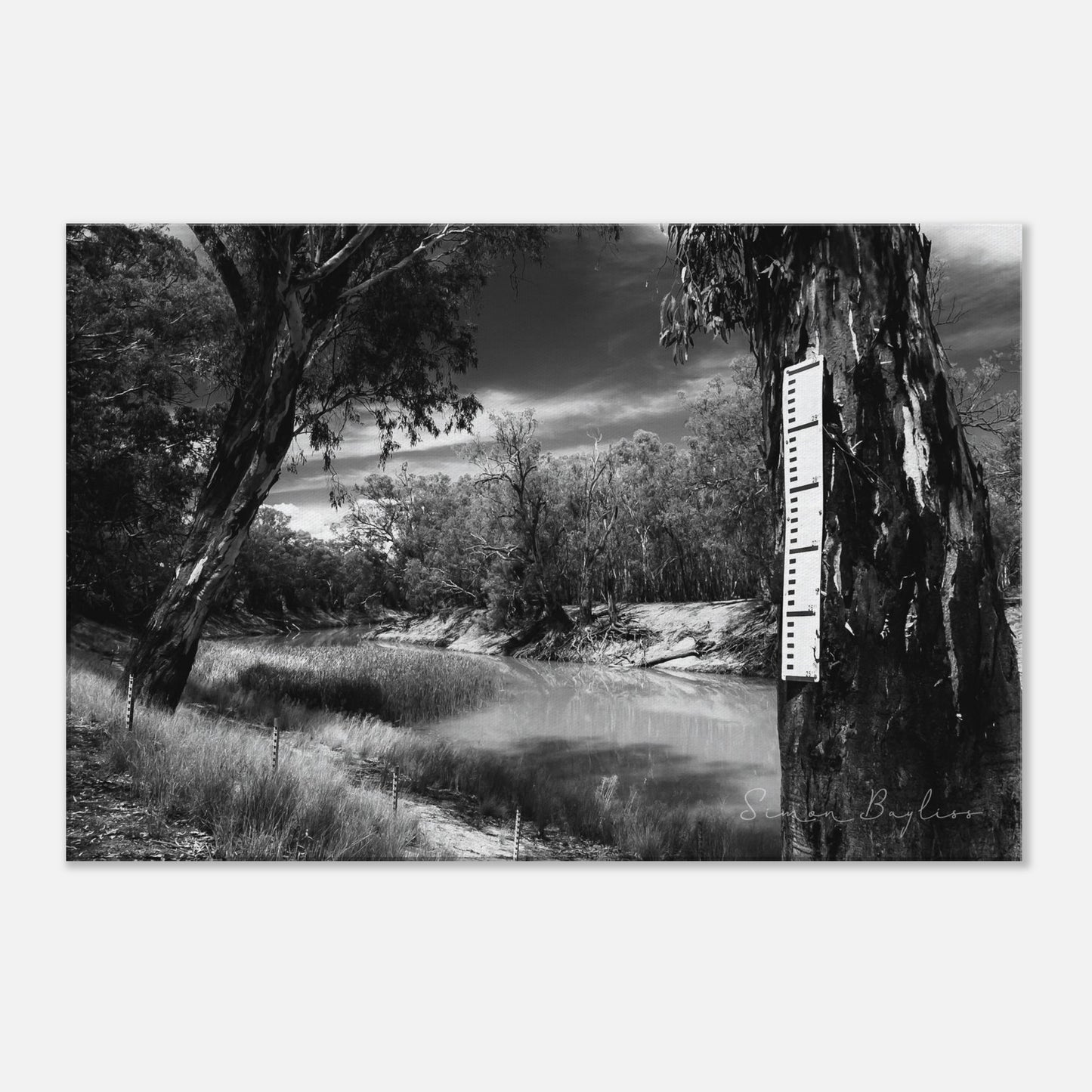 98b97950-b197-4d40-899a-697b09f1613b