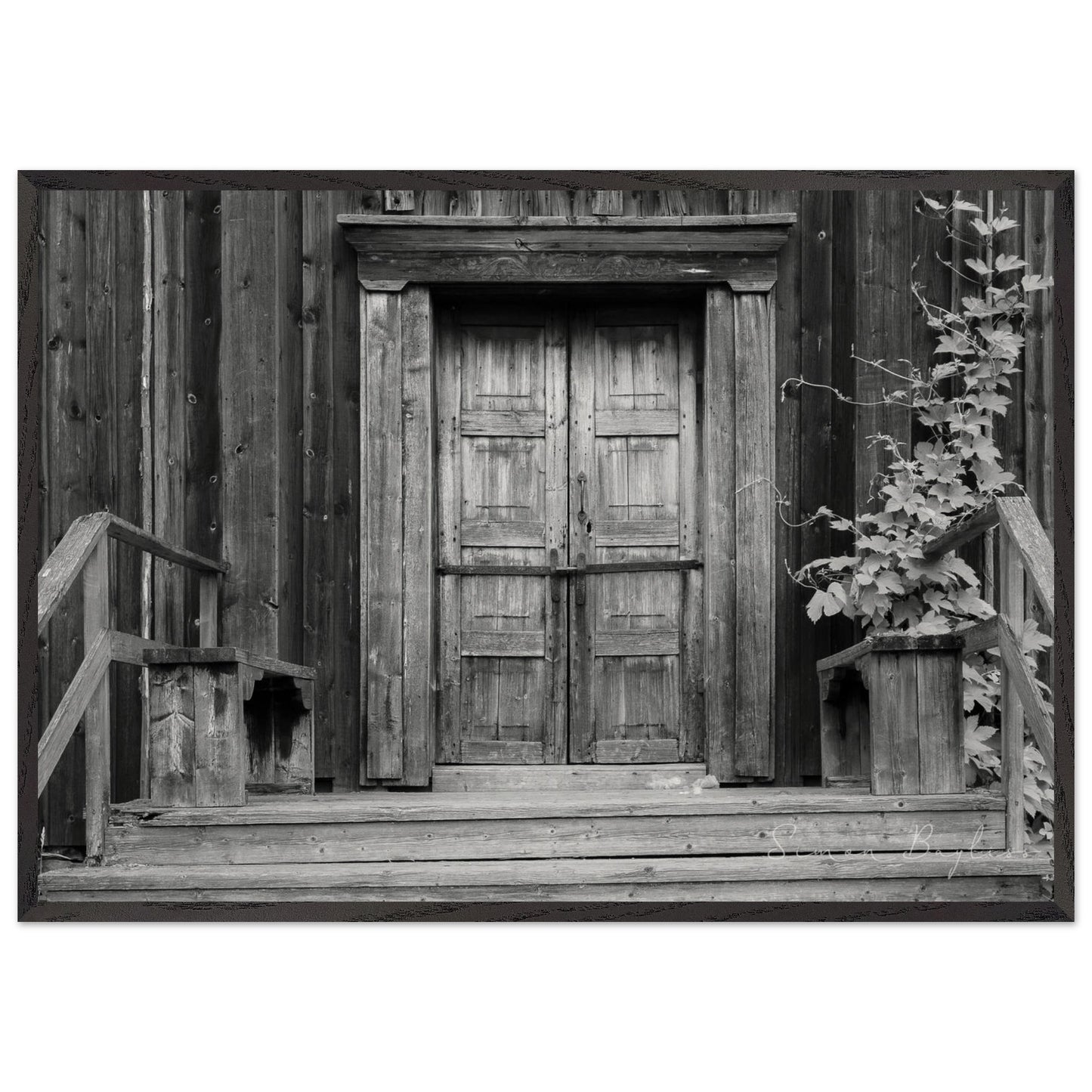 98c4042b-9c99-46f5-bfa4-baf1d462cd39