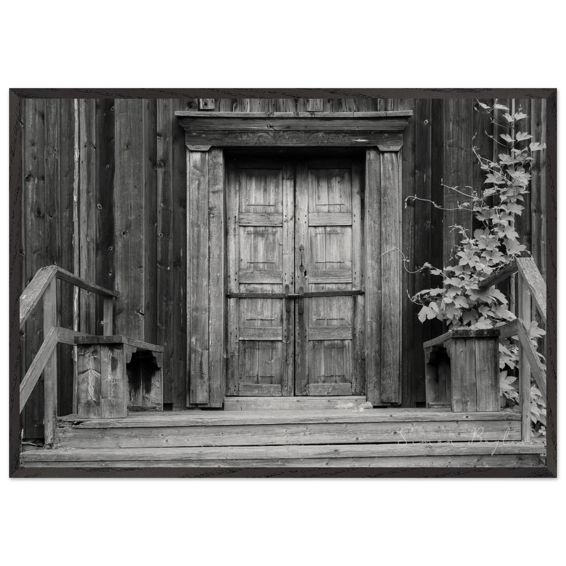 98c4042b-9c99-46f5-bfa4-baf1d462cd39