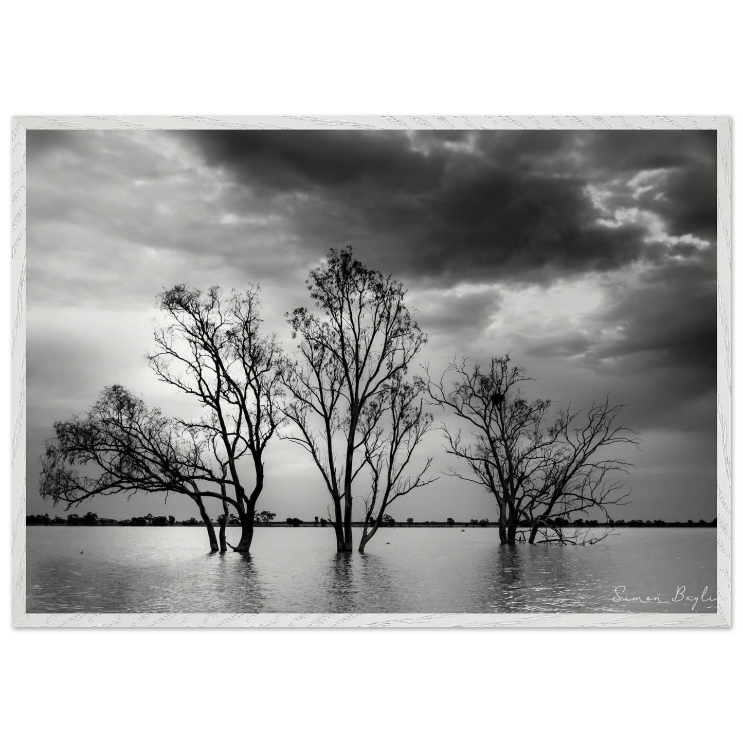 98ff6923-c3d1-4896-b82e-37582d05c51f