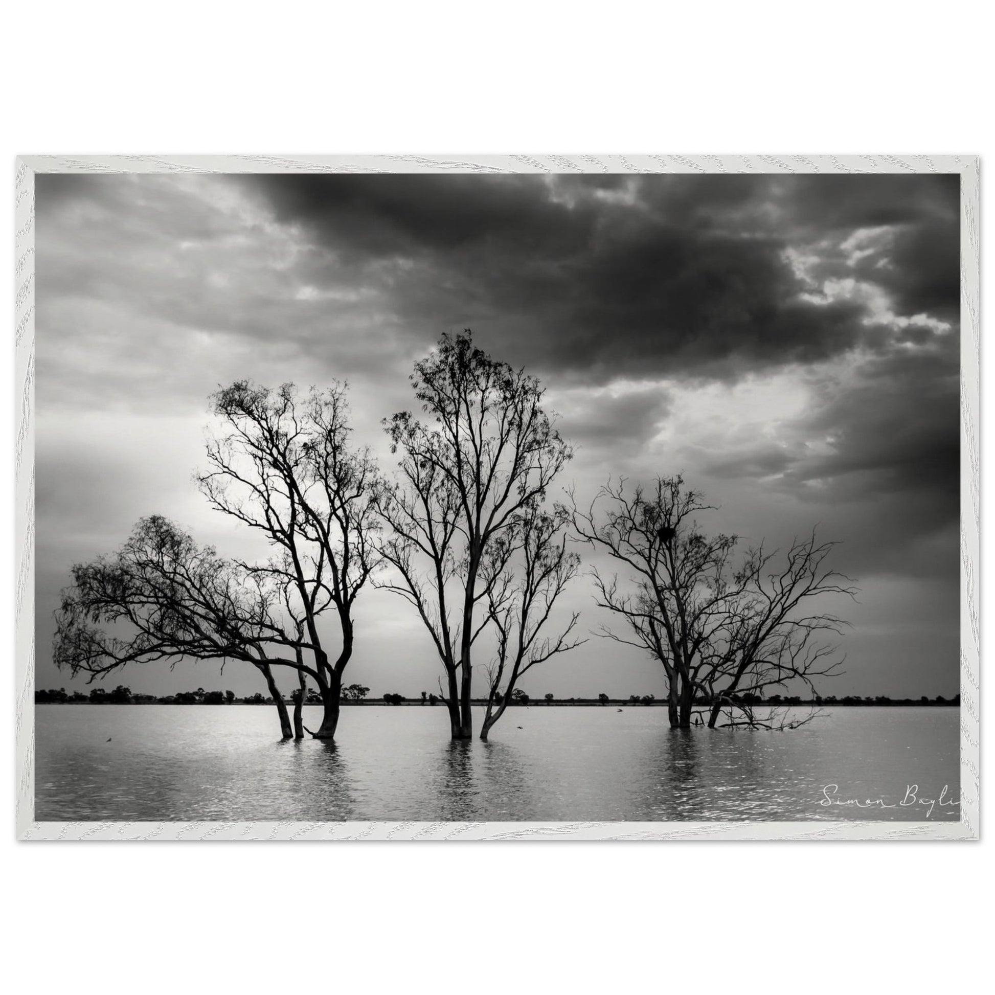 98ff6923-c3d1-4896-b82e-37582d05c51f