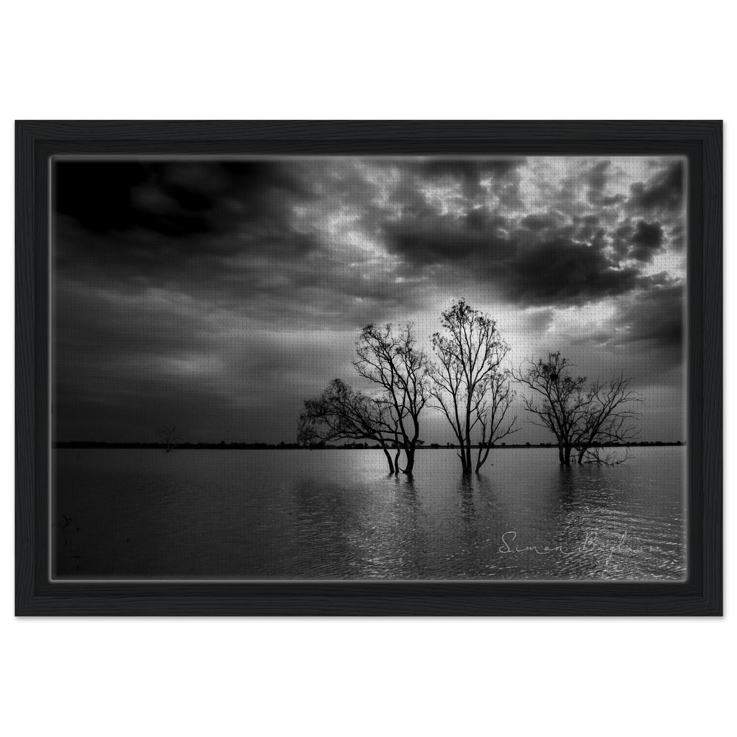 999e784c-4e46-412c-8b52-012a086ffa55