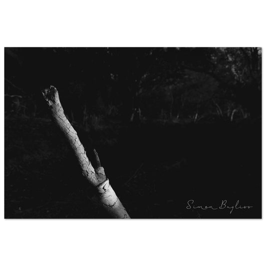 99f16780-bce1-4f8f-ab75-e7ff0ba42046