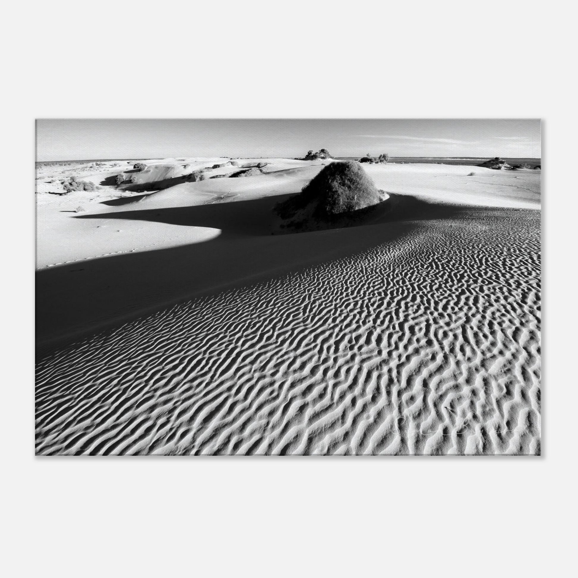 9a0eb5da-36e6-4b01-8aae-de29bdc84616