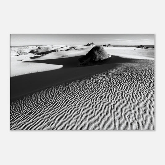 9a0eb5da-36e6-4b01-8aae-de29bdc84616