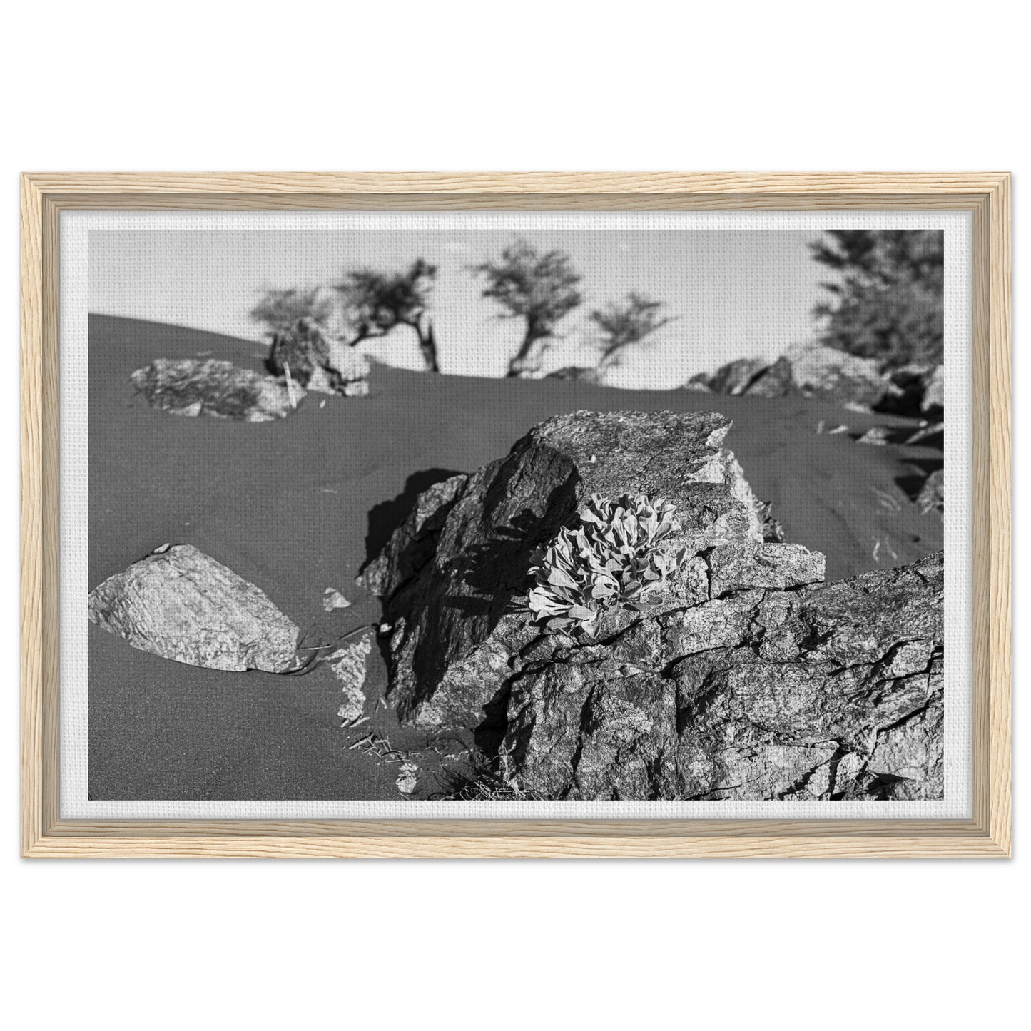 9a1ec79f-ef24-4572-8b1e-bee18eea03fd