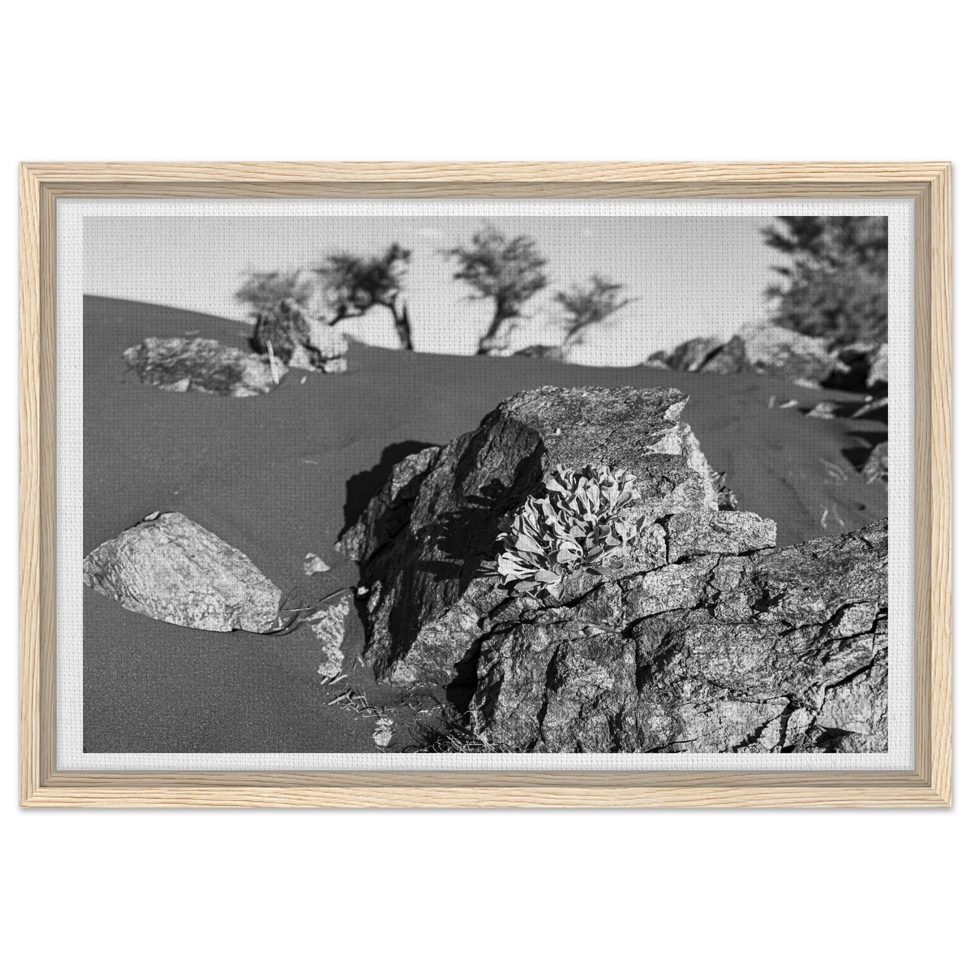 9a1ec79f-ef24-4572-8b1e-bee18eea03fd