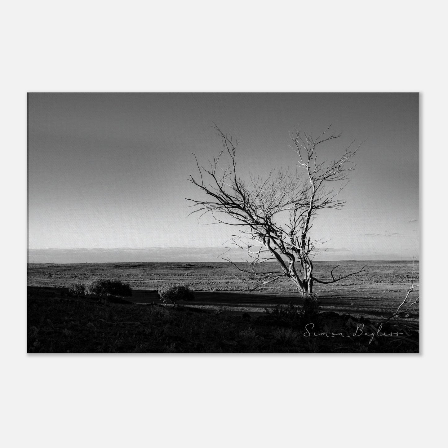 9aef3505-94e4-46ce-9f25-6f9535aee5c2