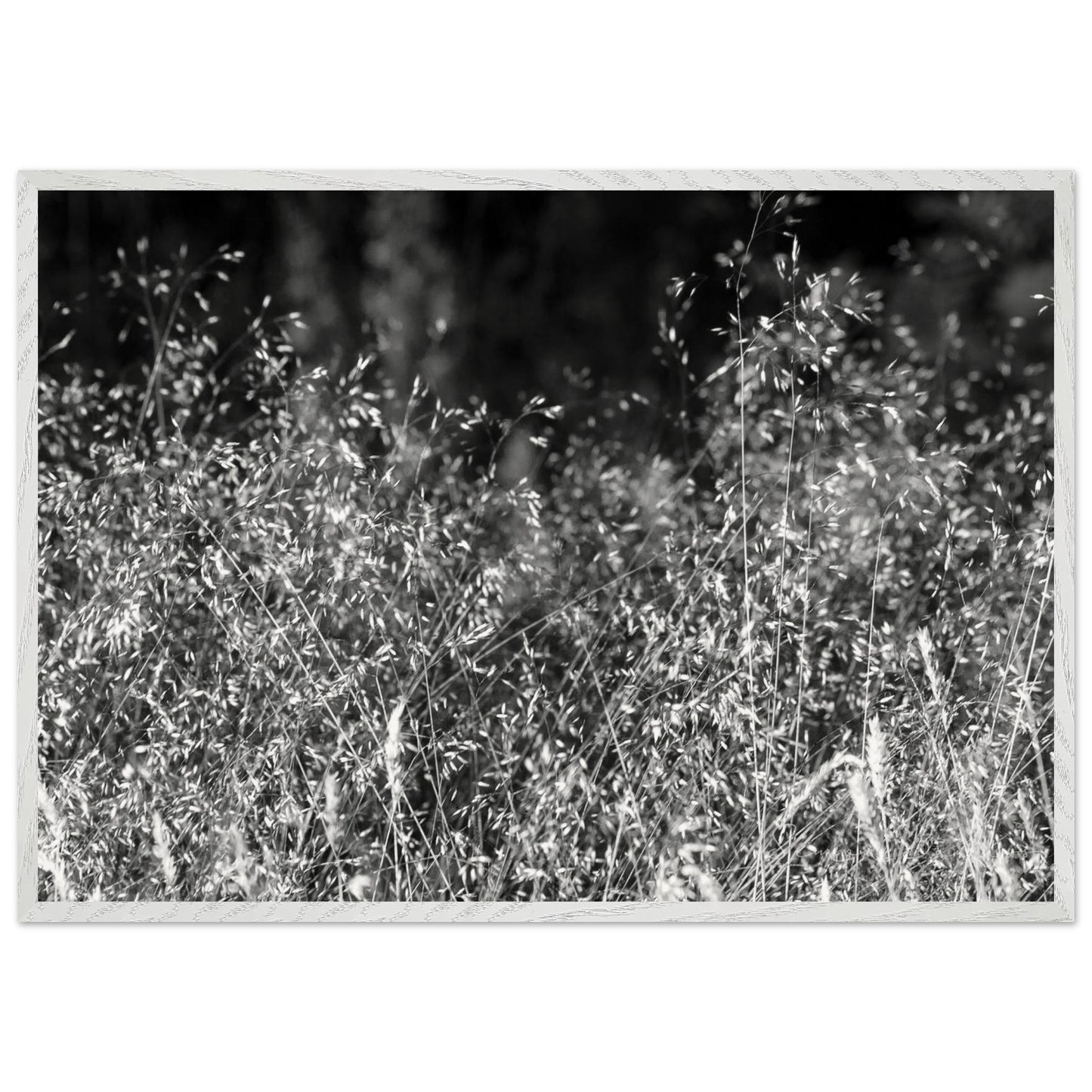 9b51df24-b9c2-4ff9-bbd3-3cbc5b606884