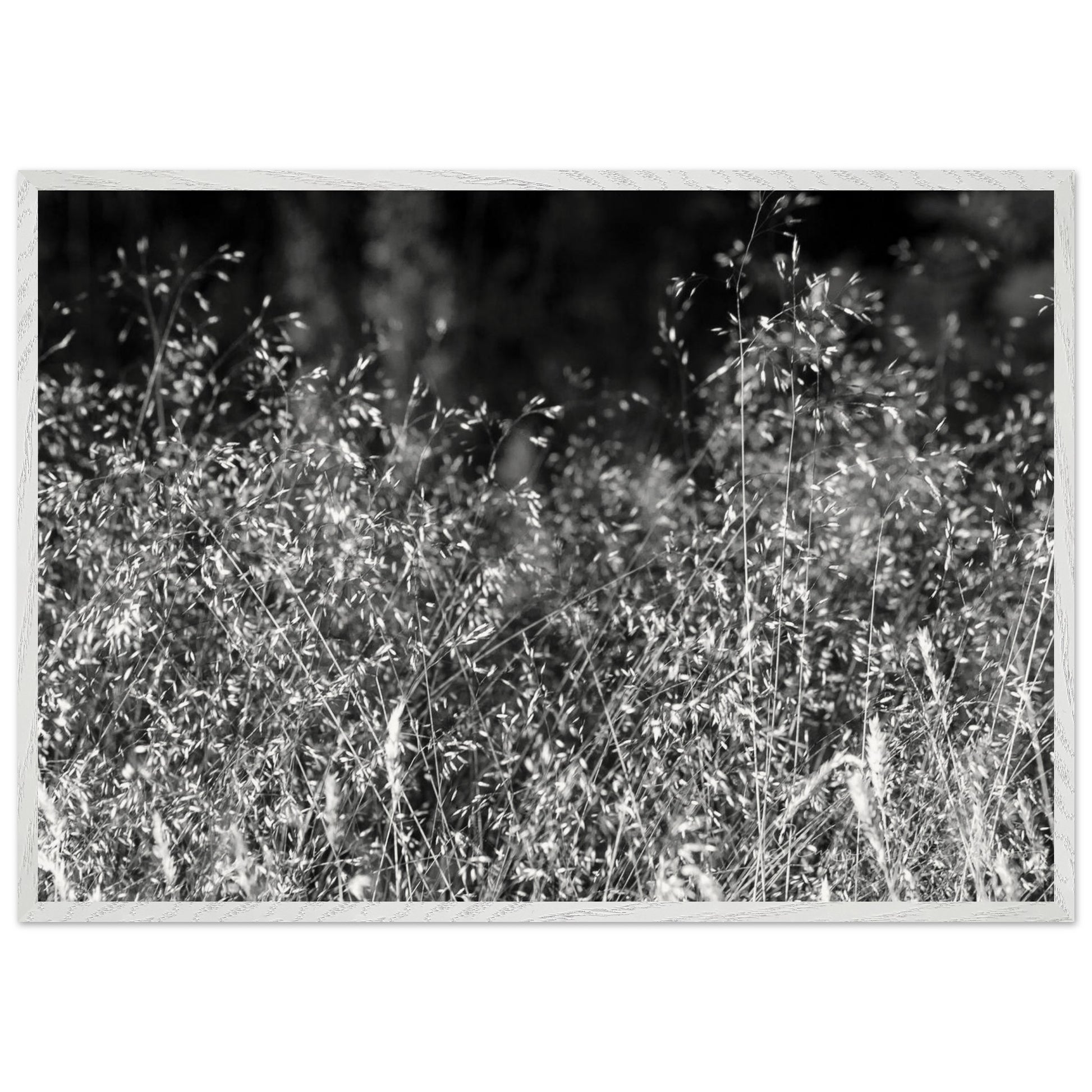 9b51df24-b9c2-4ff9-bbd3-3cbc5b606884