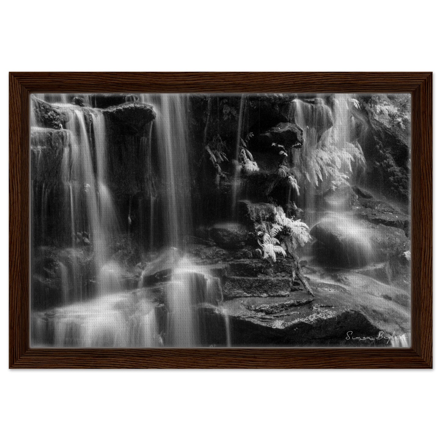 9b800dd8-9af4-49f9-9a26-85455299fecb