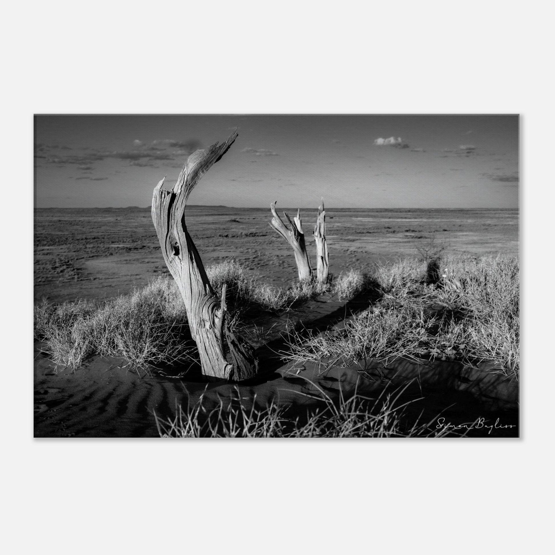 9b815ed7-8d46-4136-bd2d-4a3963cac287