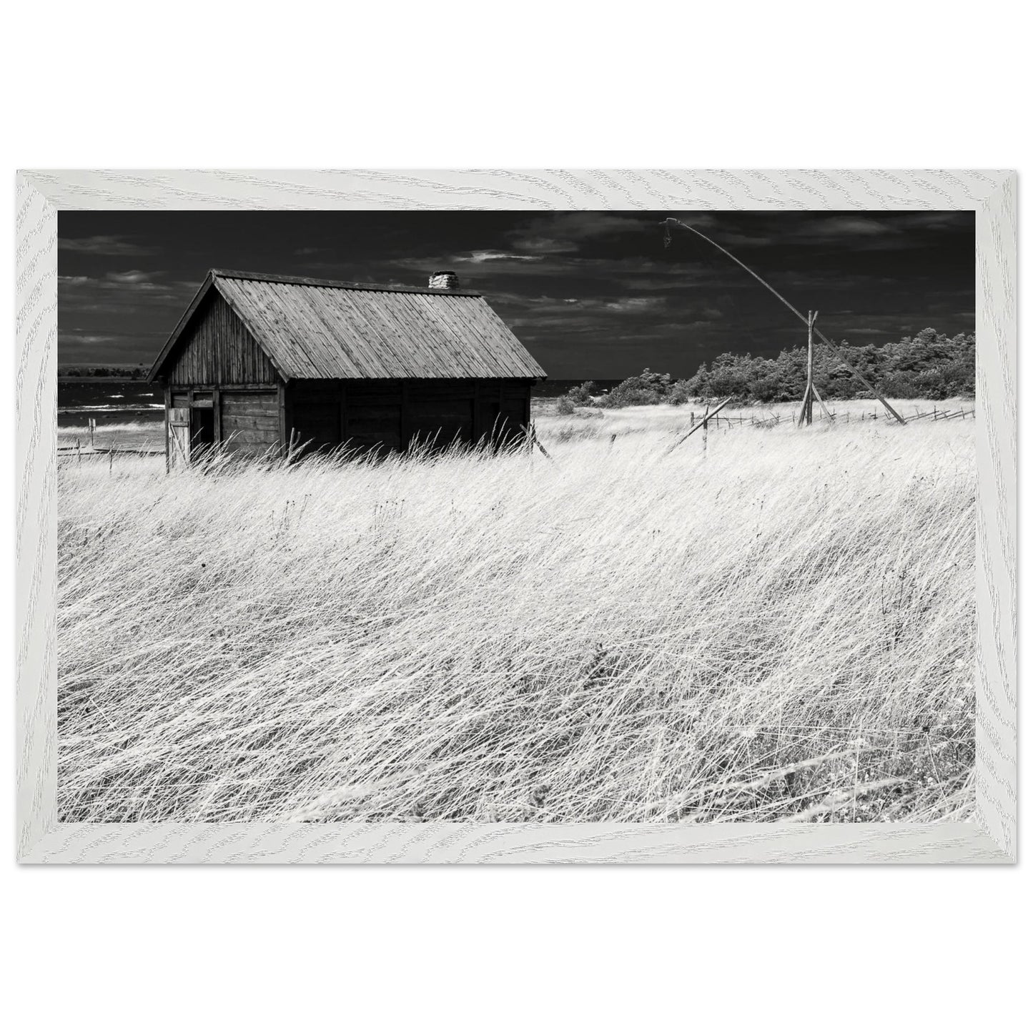 9b9bca65-8d84-4f56-9294-d2a2b987db8e