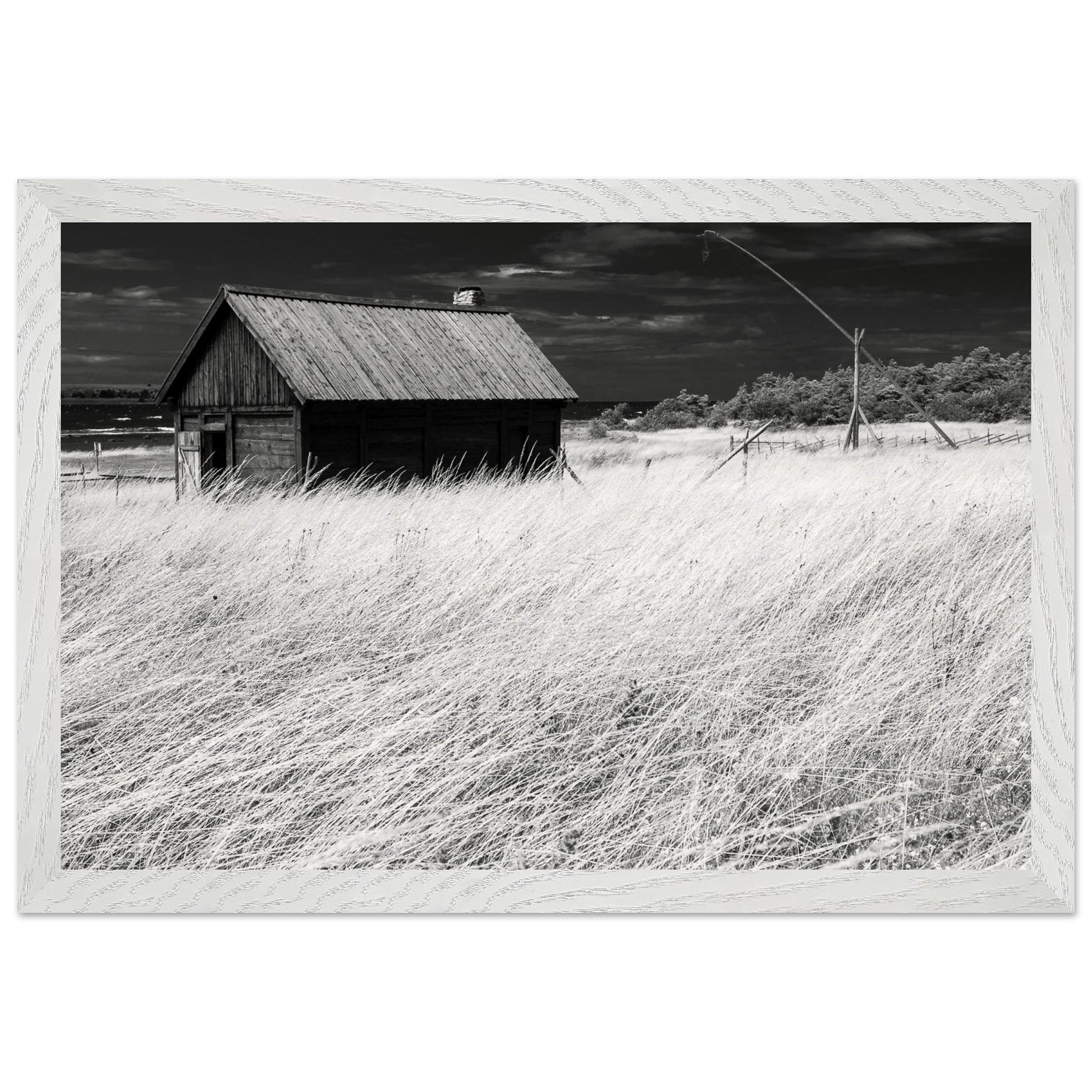 9b9bca65-8d84-4f56-9294-d2a2b987db8e