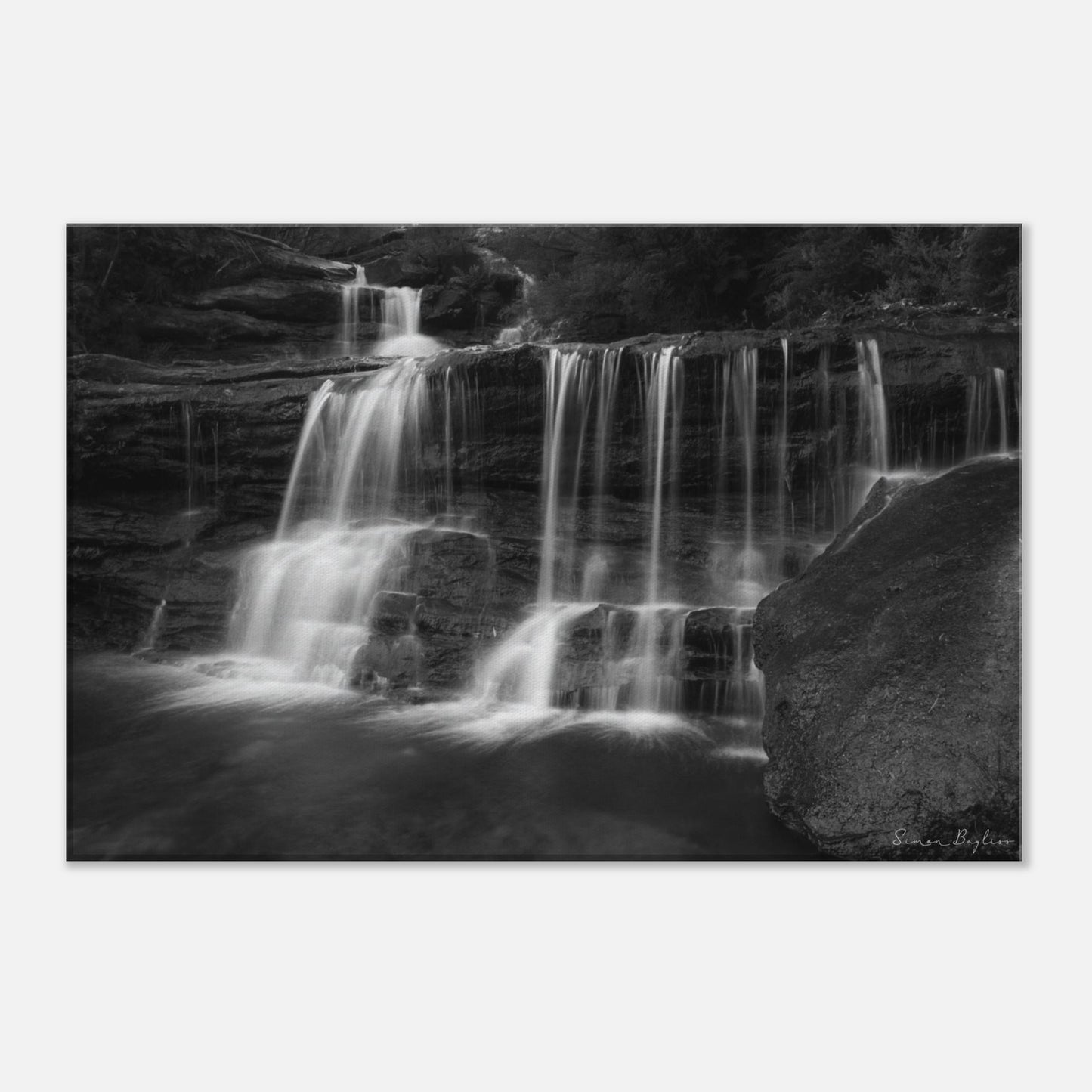 9bf51724-3dba-49ae-a211-4f8602836c68