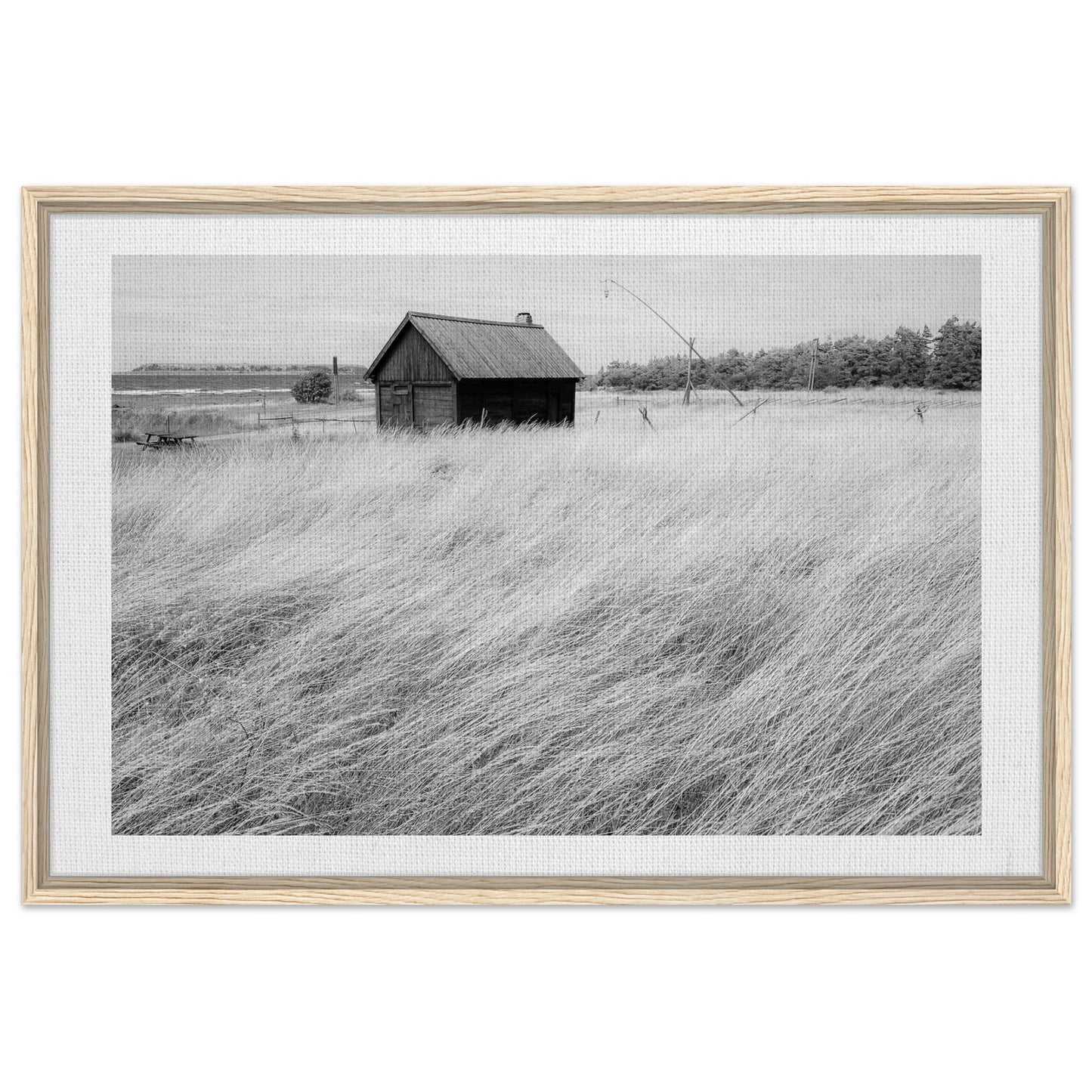 9ca01ad7-452c-478a-a38b-87f0666703a6