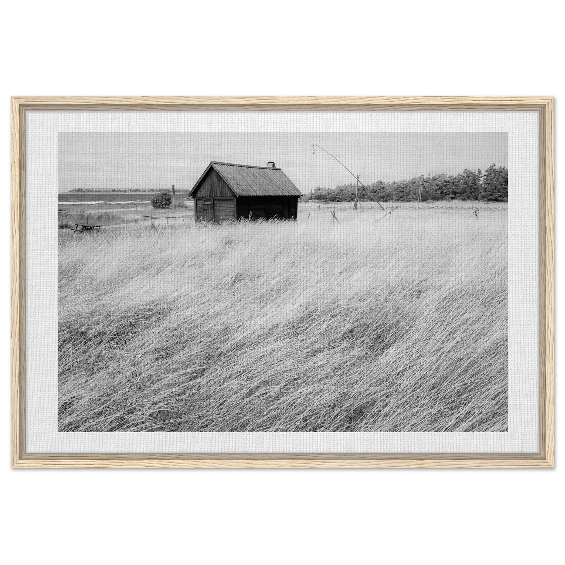 9ca01ad7-452c-478a-a38b-87f0666703a6