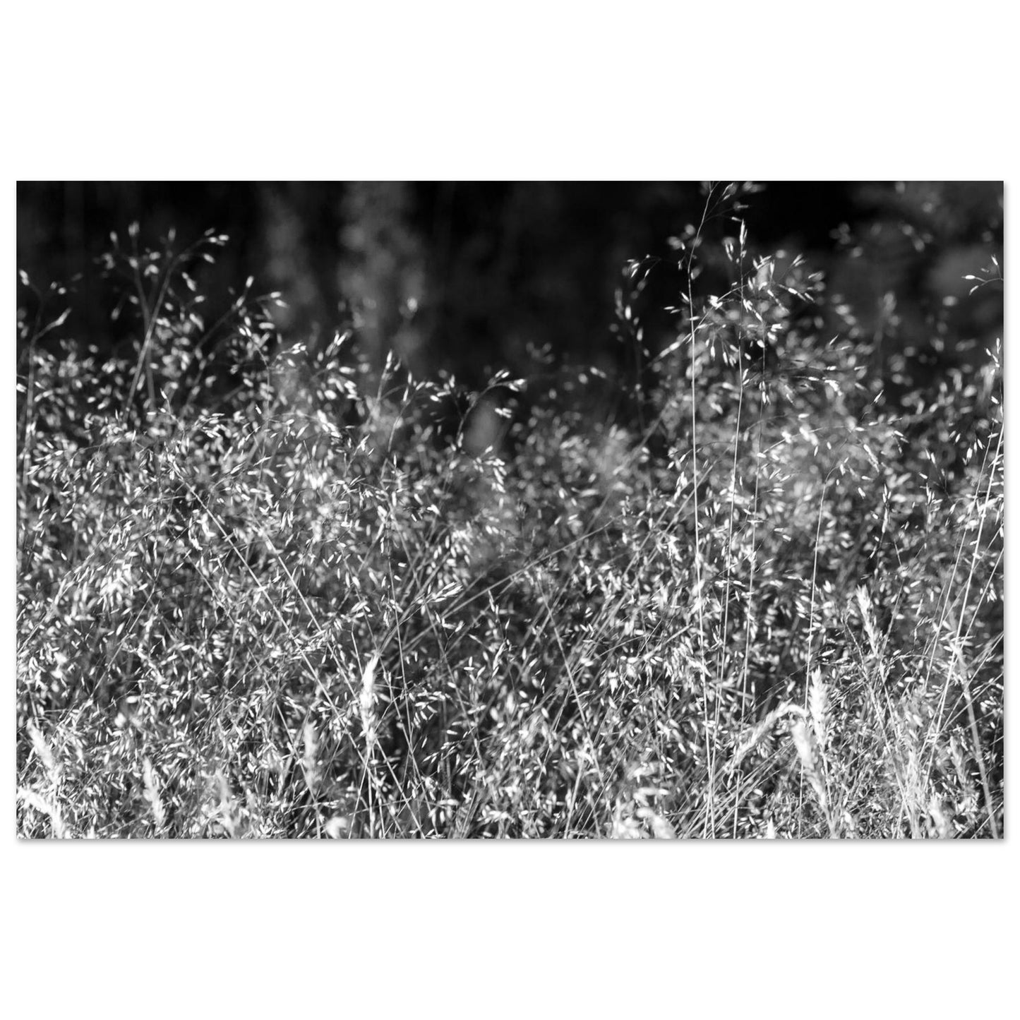 9ca80b8a-05d6-41a6-a8b3-bdf34606b4a9