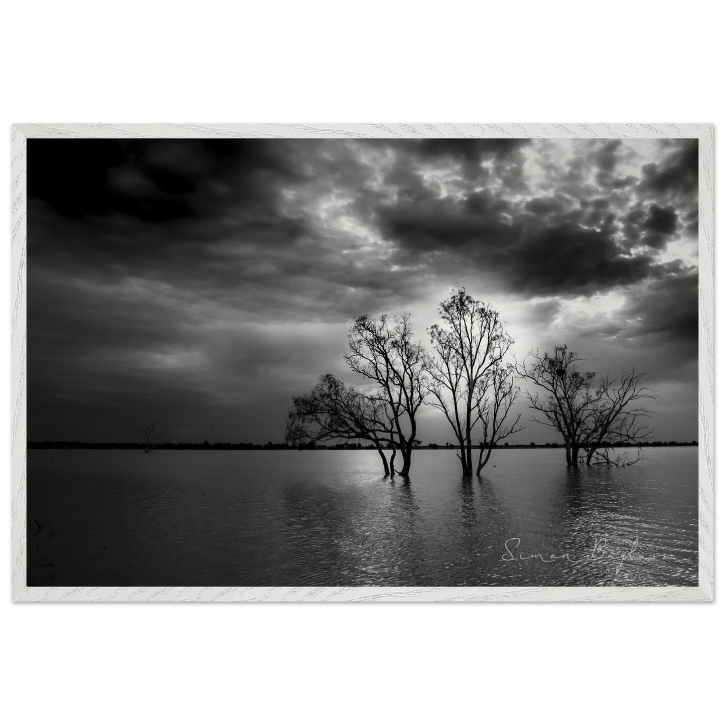 9cca8da6-b2ed-4406-872d-4a40f4c6b70a