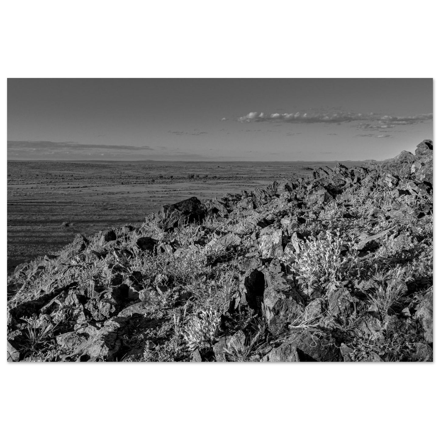 9d0407ff-7874-4c2e-a484-47ffda82d299