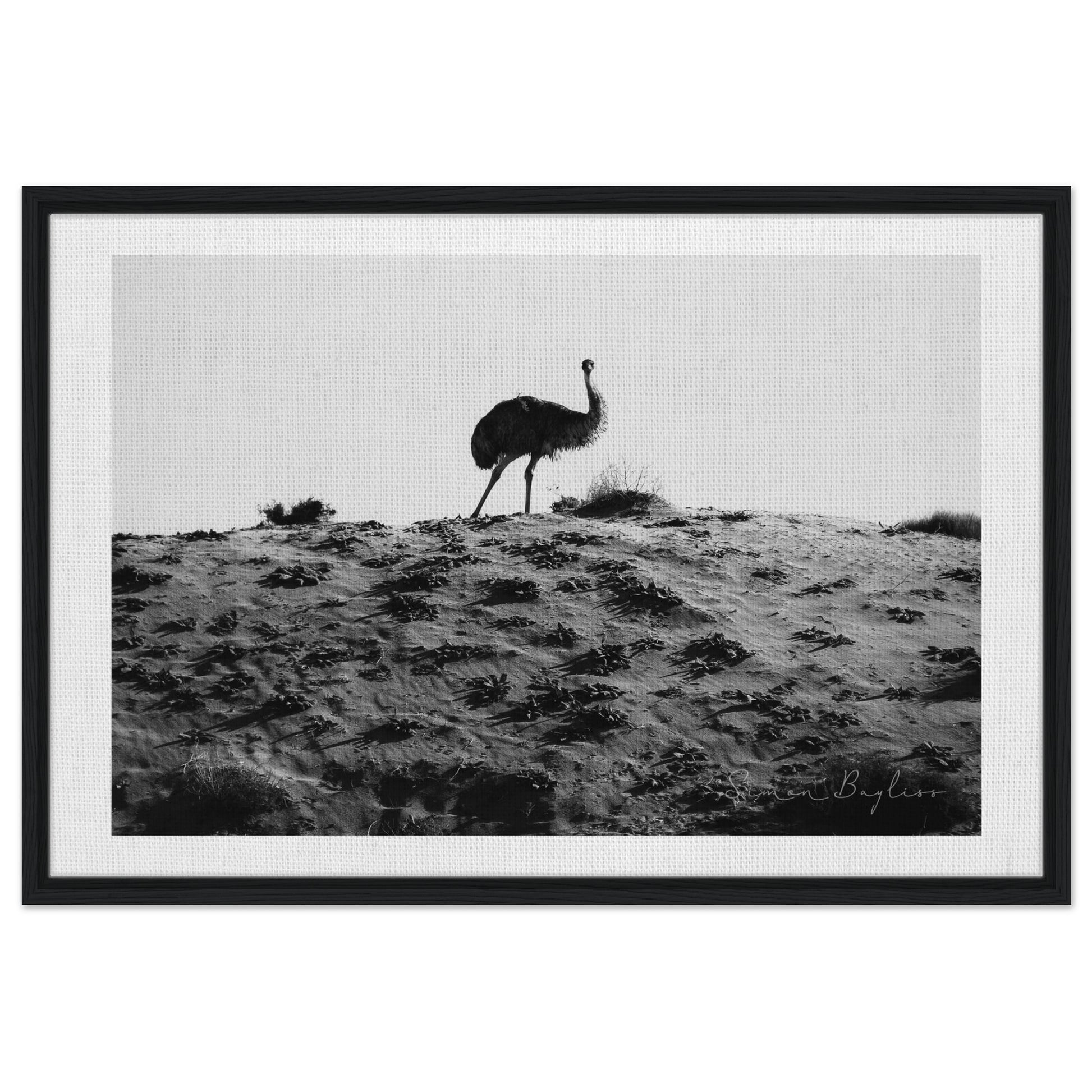 9d0c282a-6dd9-41ac-8788-377e8e5348d2