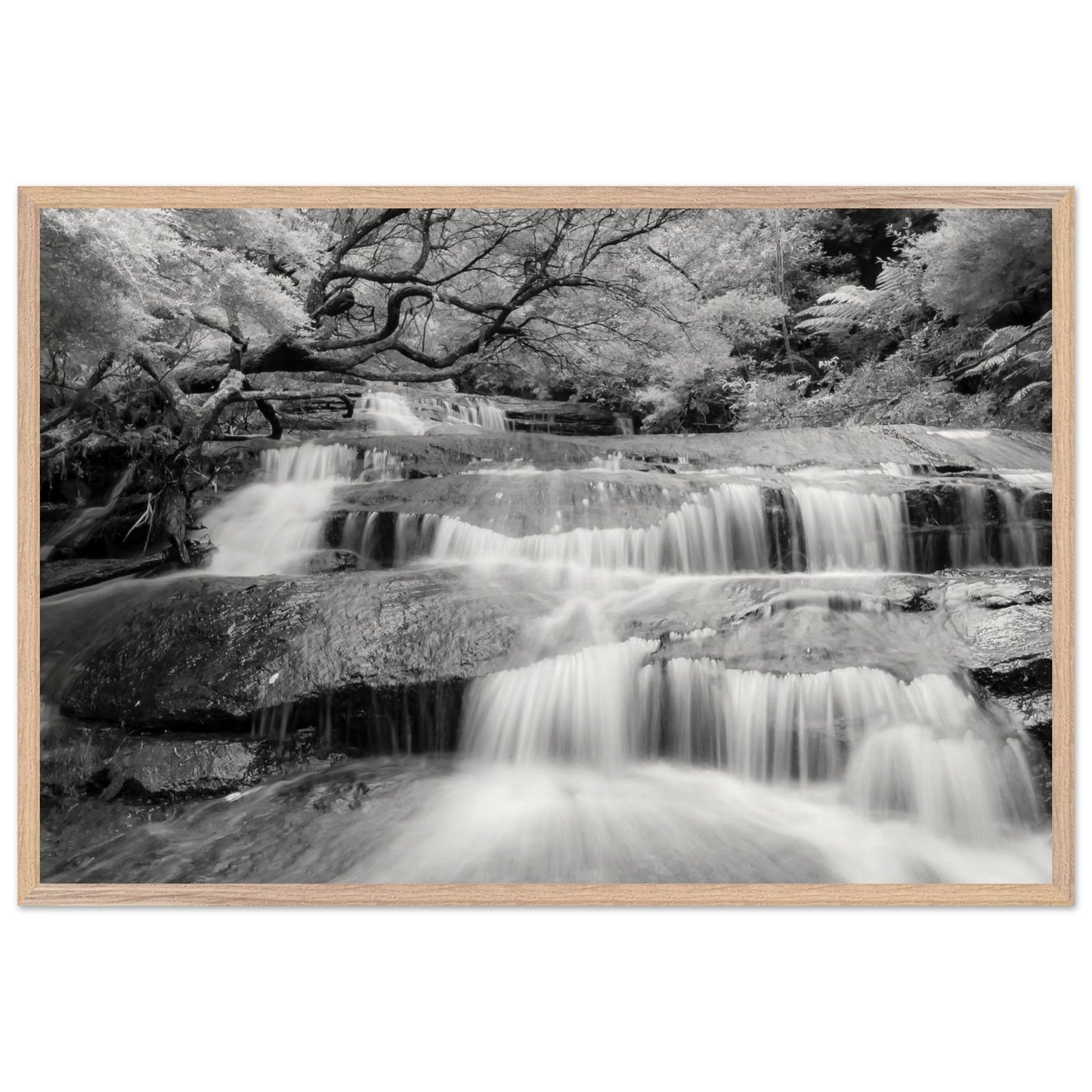 9d2c300b-10e3-4934-9ec6-e27885b6c6c9