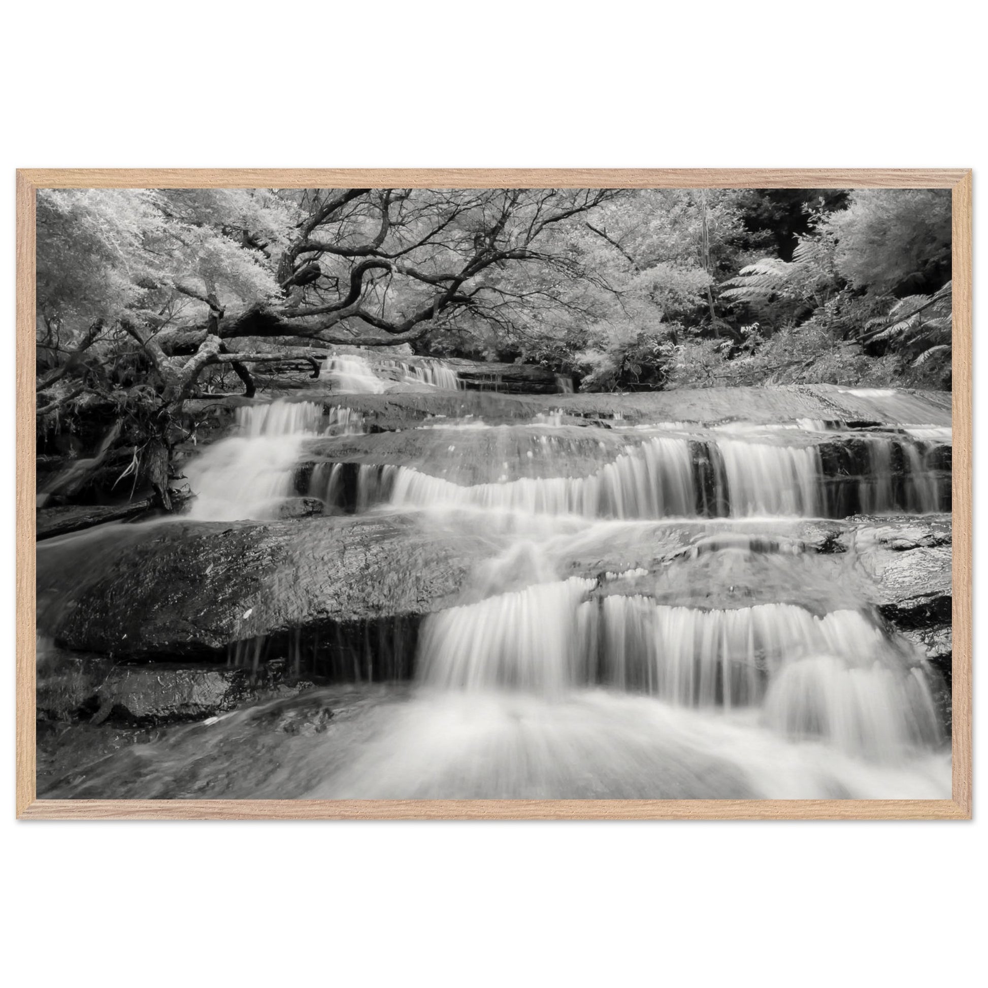 9d2c300b-10e3-4934-9ec6-e27885b6c6c9