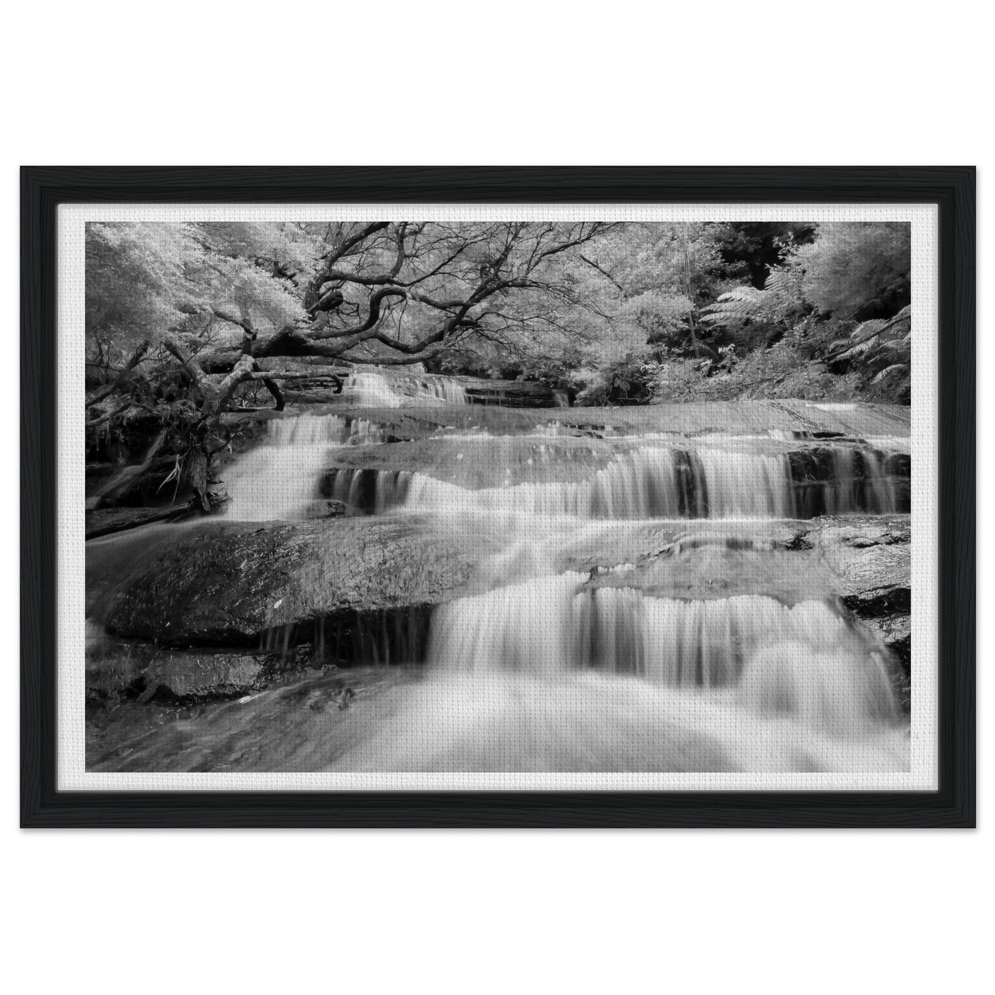 9d7cec72-33fb-44ee-9a36-fcaf74b7f094