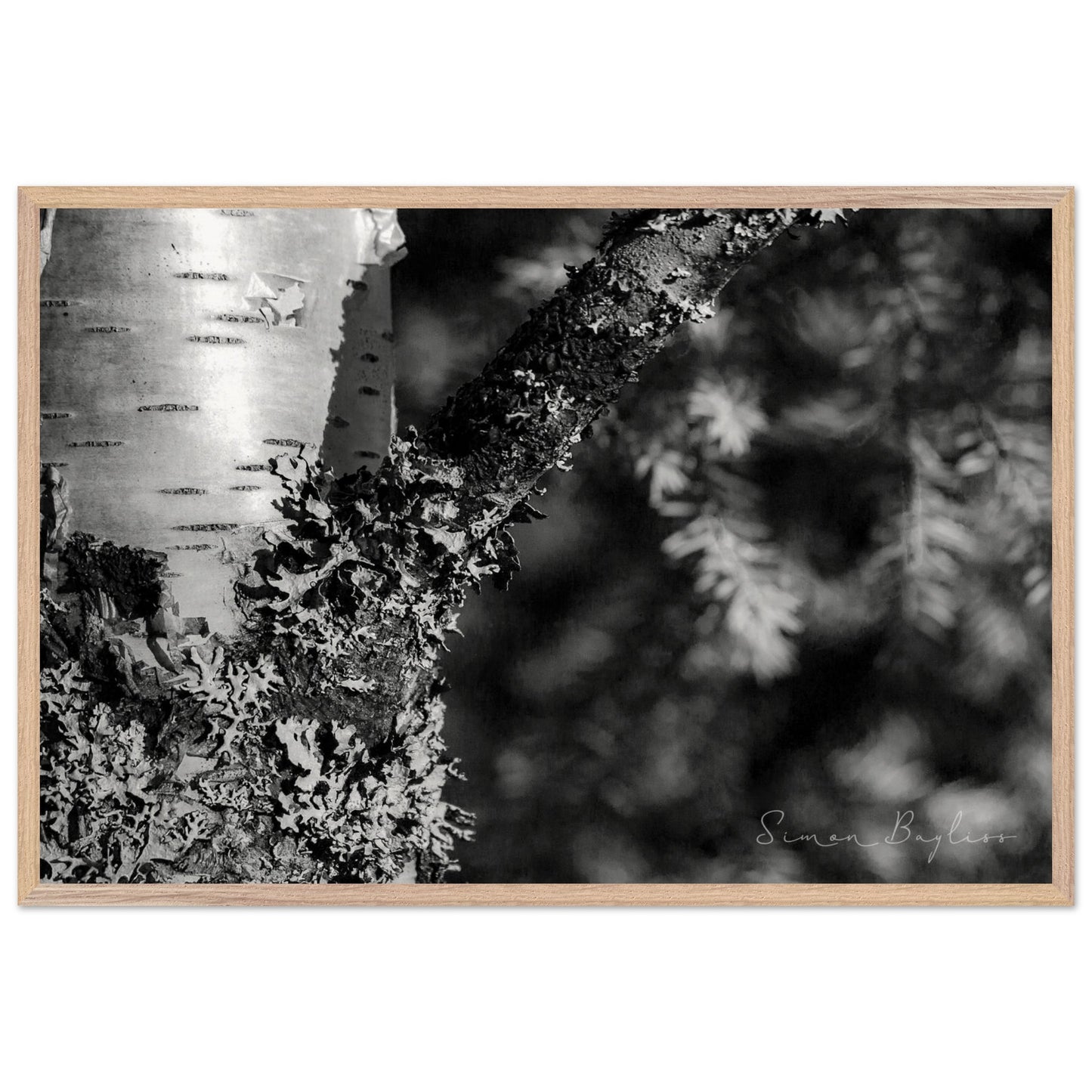 9db9d738-51cd-49e8-9c6e-a0541cf0f06d