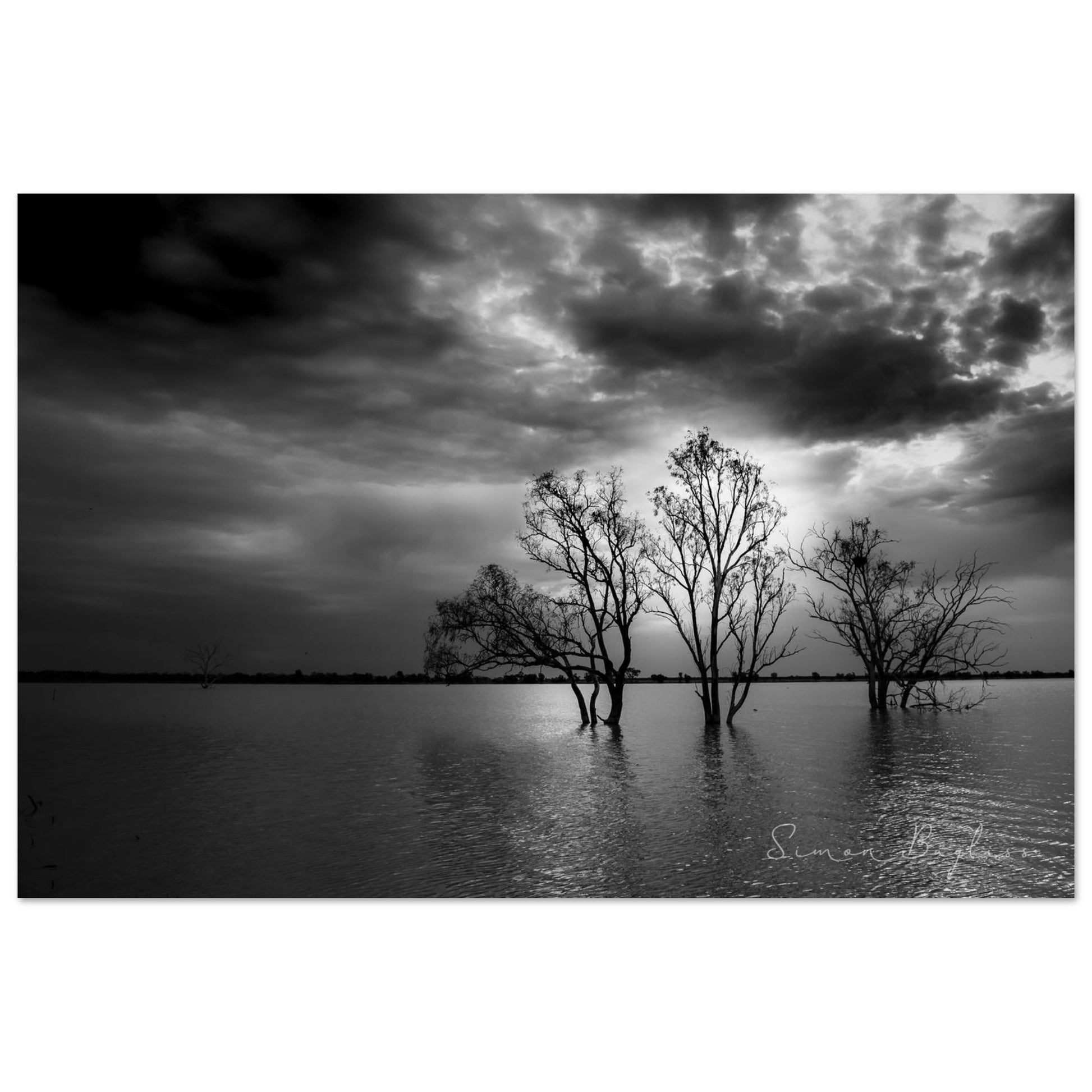 9dcc1b11-73ac-4930-8d28-2cb7e499e8a0