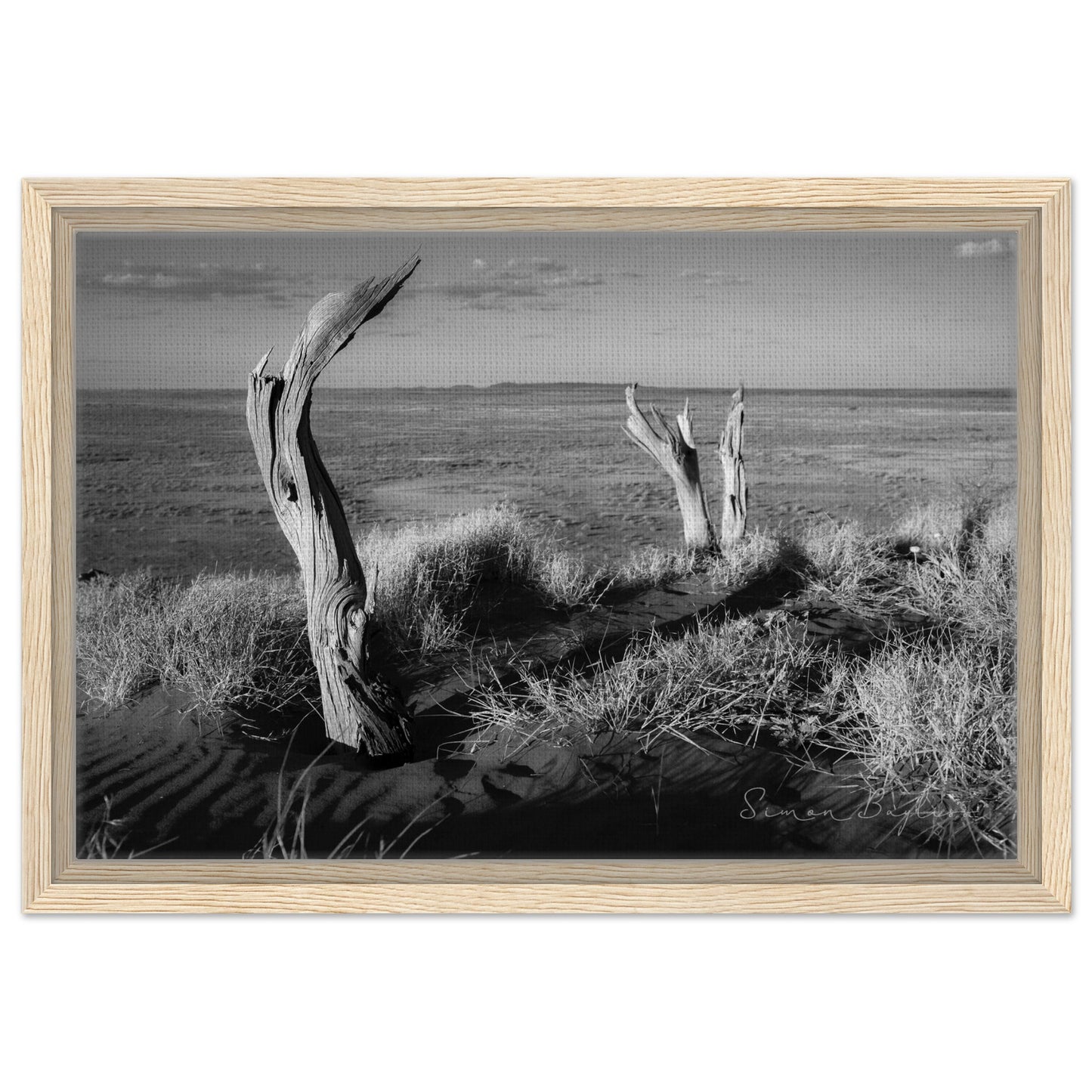 9efcb62f-f97c-4249-b93d-5aa0e83b9216