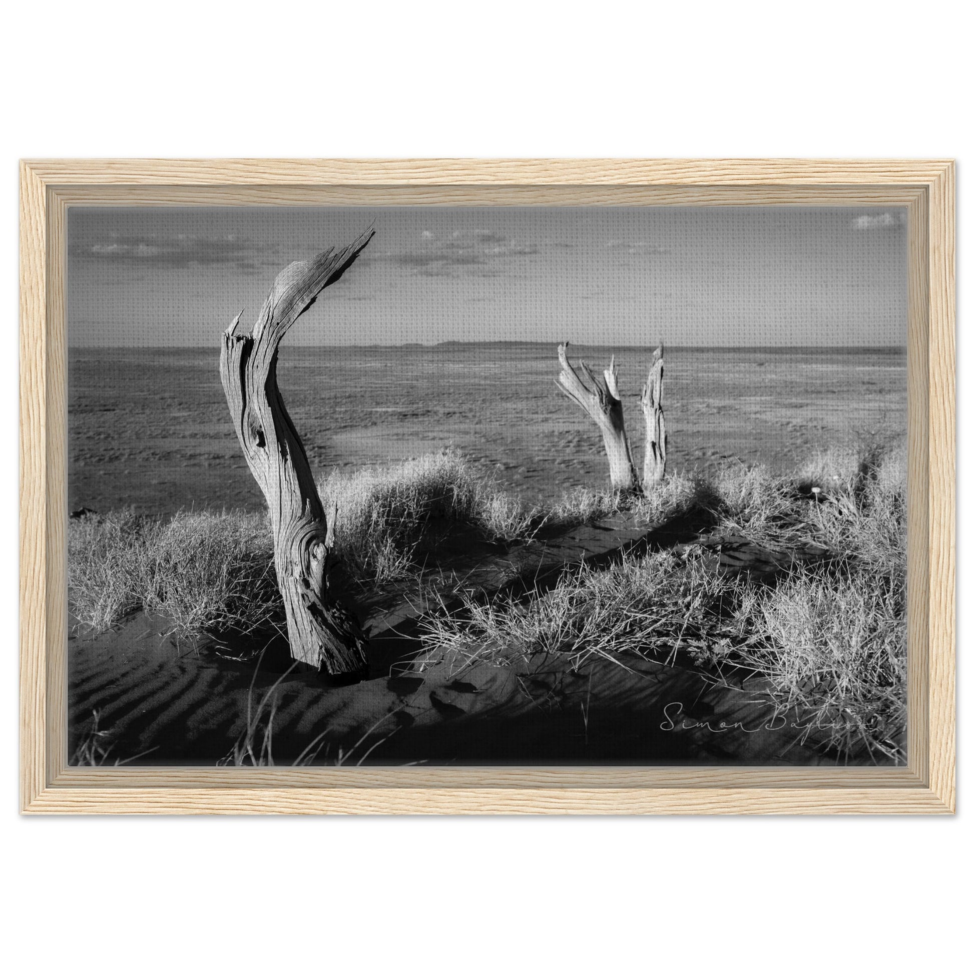 9efcb62f-f97c-4249-b93d-5aa0e83b9216