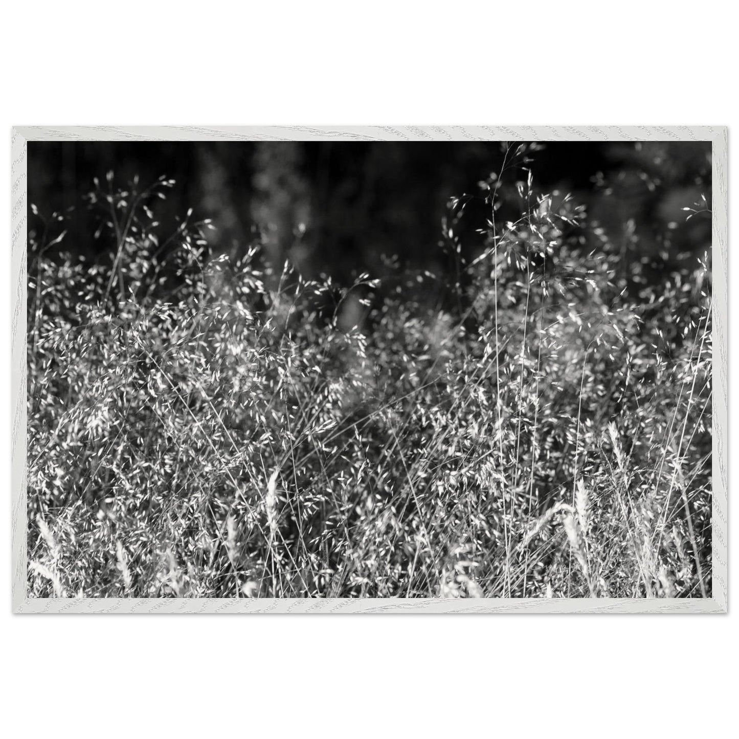 9f8ee27b-4f14-4e67-8139-7ac6b5a070c6