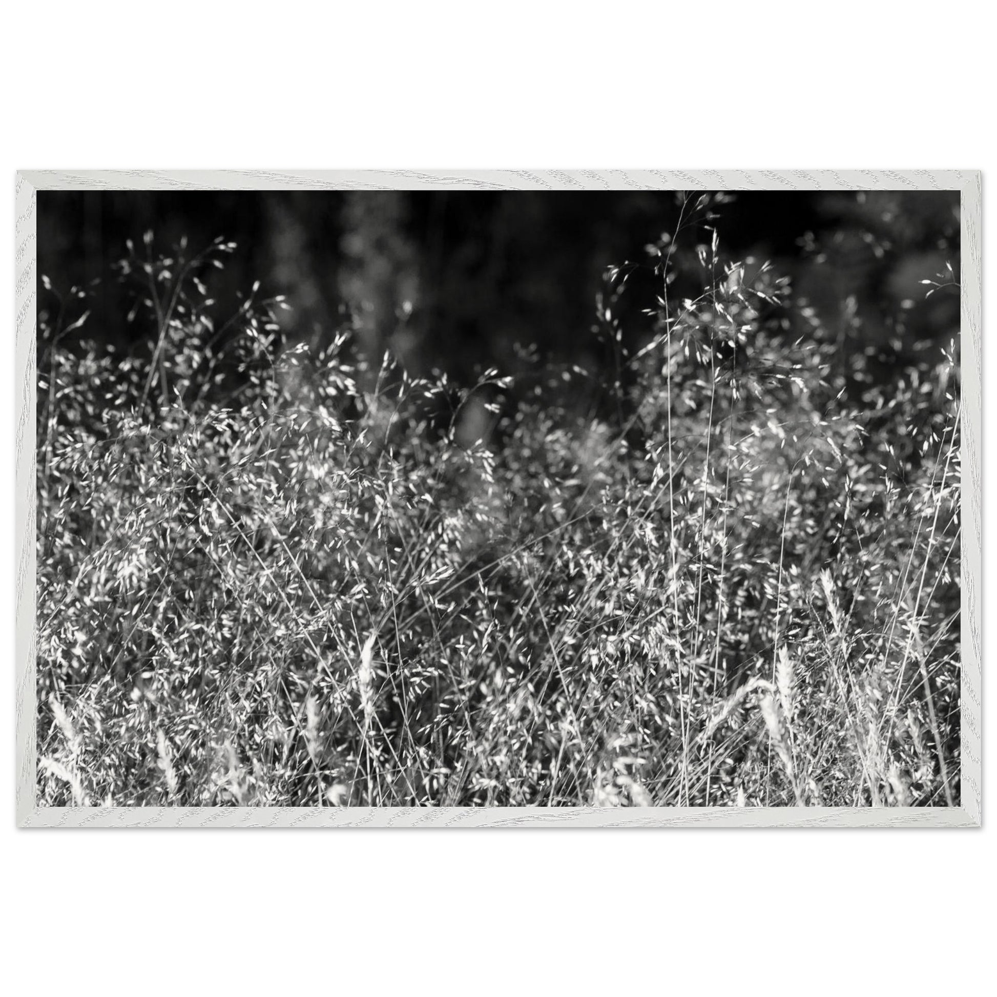 9f8ee27b-4f14-4e67-8139-7ac6b5a070c6