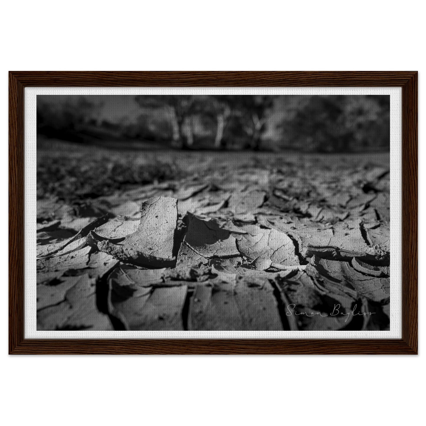 9fb443cf-29ad-4399-97b5-f04f7aca1d2e