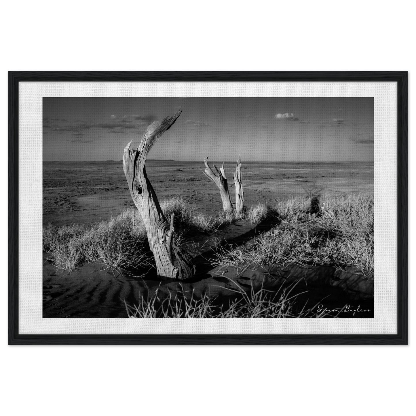 9ff510d5-83bb-4302-b847-d971f288f9ab