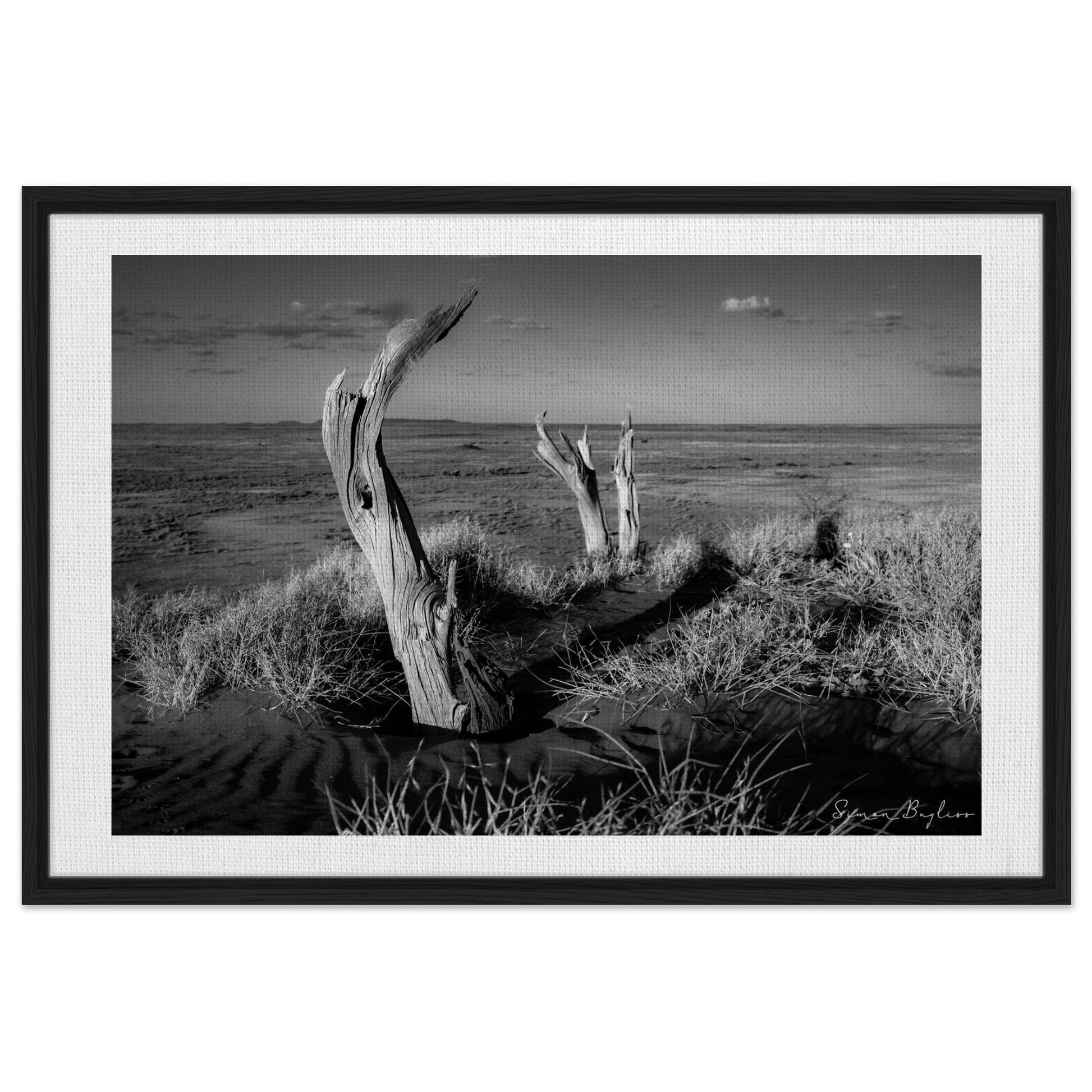 9ff510d5-83bb-4302-b847-d971f288f9ab