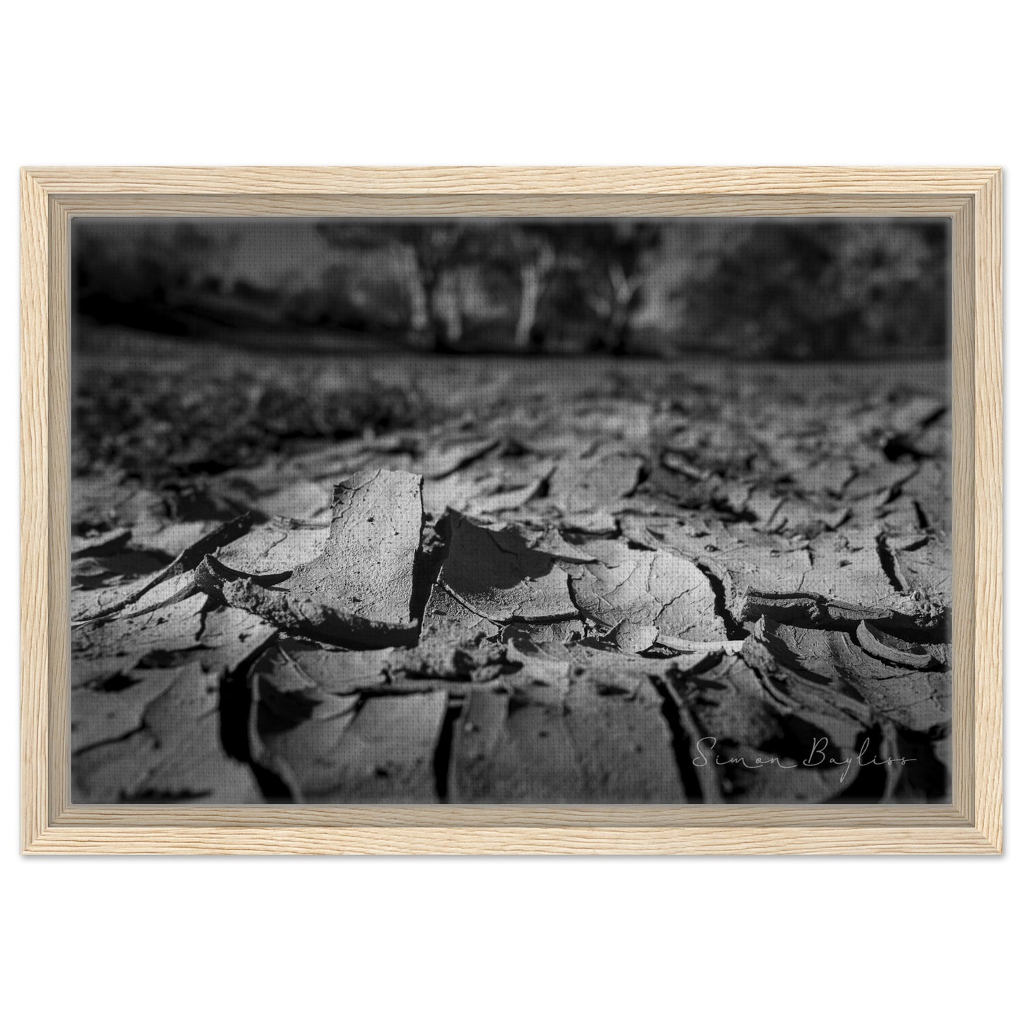 9ff8c636-a804-4832-b6e6-32dceff965d6