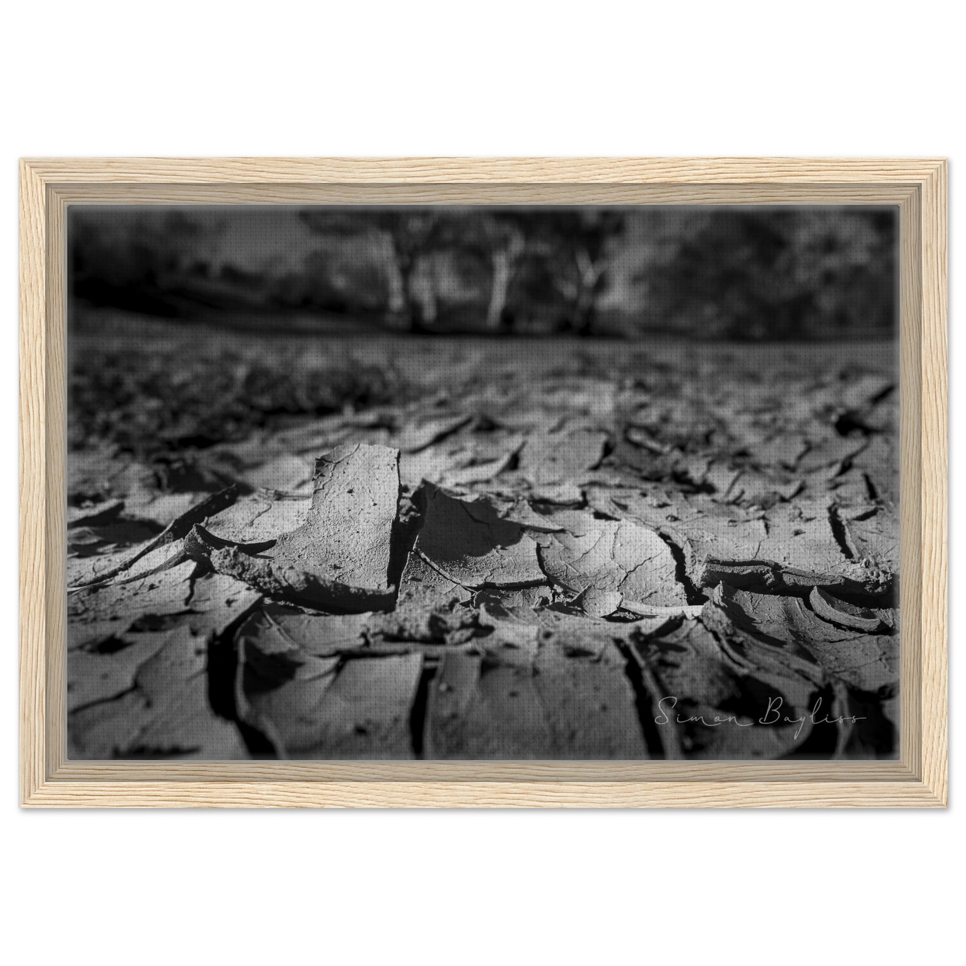 9ff8c636-a804-4832-b6e6-32dceff965d6