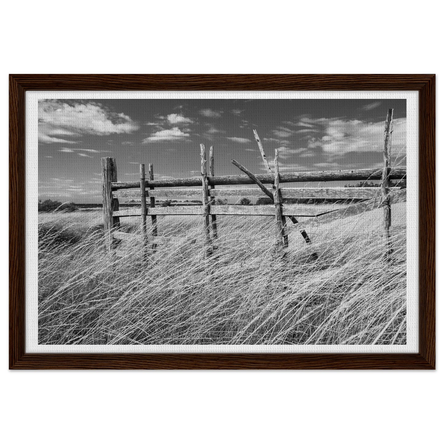 a055ec25-7c4a-45f1-865e-a2b64a21cb71