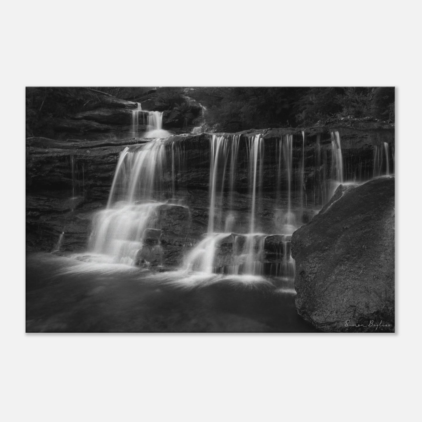 a091e1b1-c8c3-46f3-85f5-366f3cd281d8