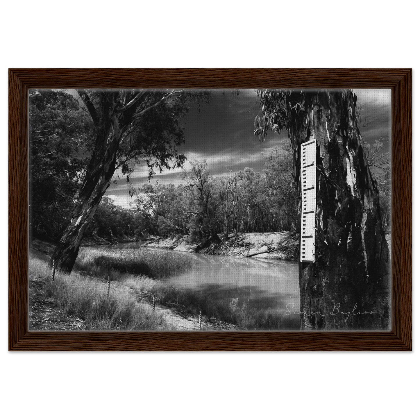 a0a1f97e-b6b5-4481-a910-e3825bf28493