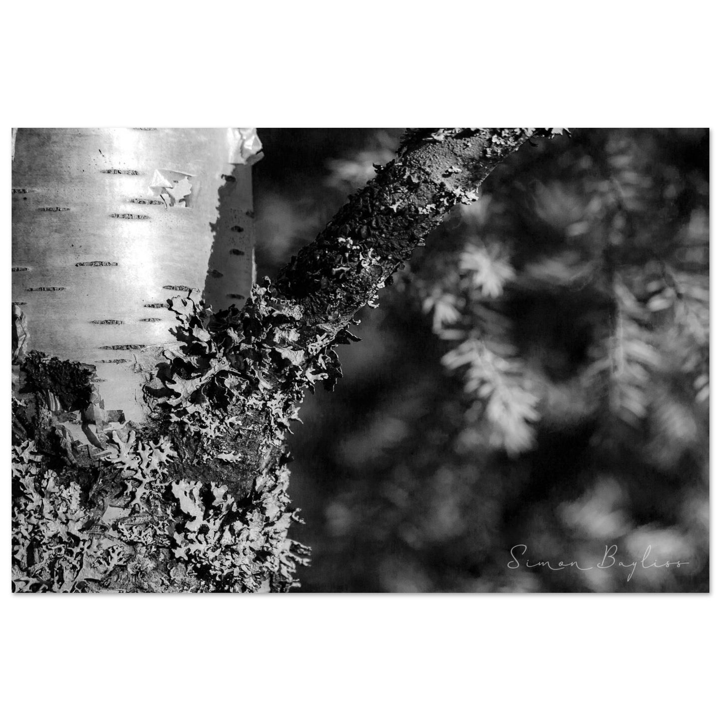 a0c2e5b6-52c4-4a57-8f99-fb6ae512ccdf