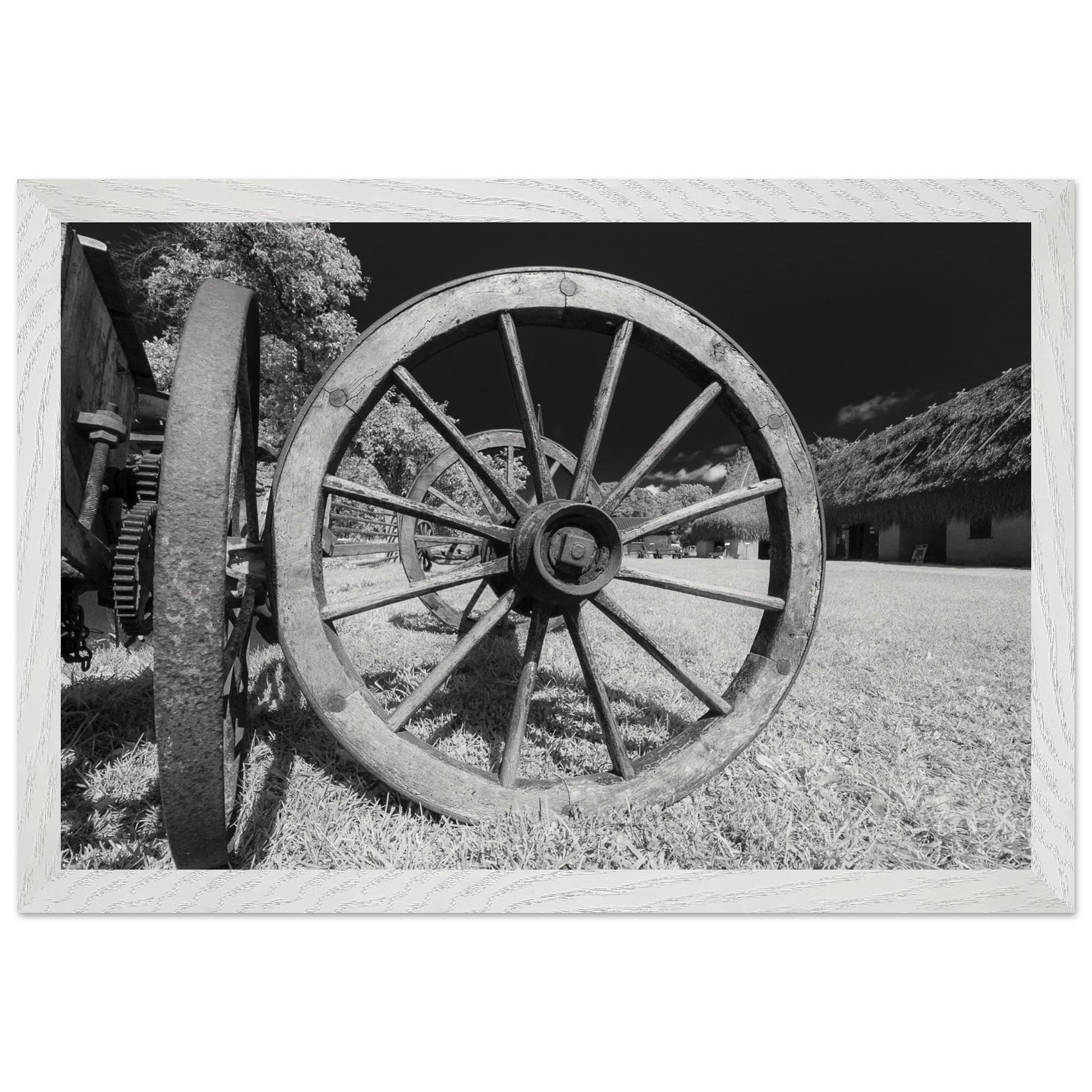 a12b017b-b518-4c81-8fcc-4029767916ca